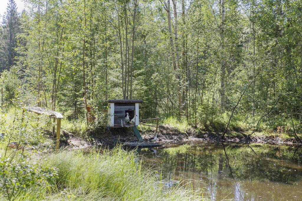 3 rum Gård utan jordbruk på Sörby Mosavägen 14 Järvsö Ljusdals kommun - bild 37