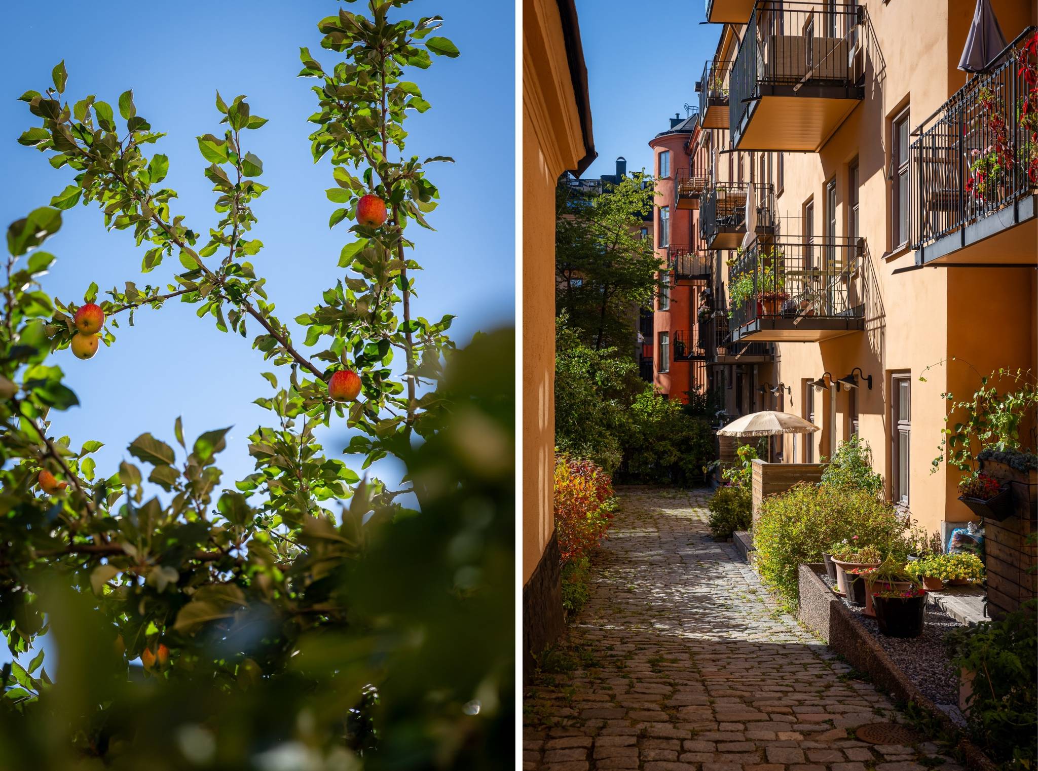 3 rum Lägenhet på Surbrunnsgatan 11 Östermalm - Vasastan Stockholms kommun - bild 14
