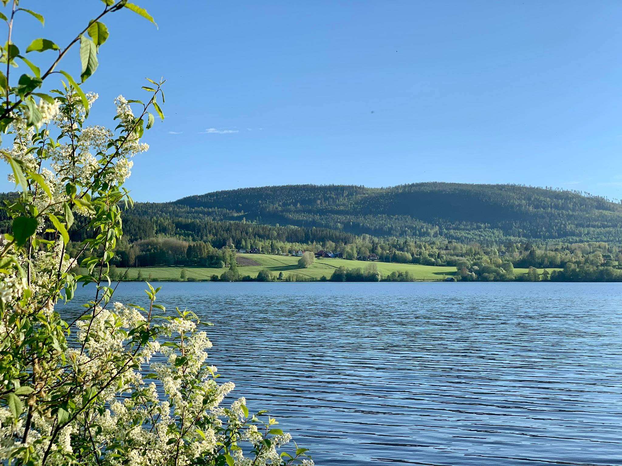 6 rum Gård/skog på Fränstavägen 211 Fränsta Ånge kommun - bild 62