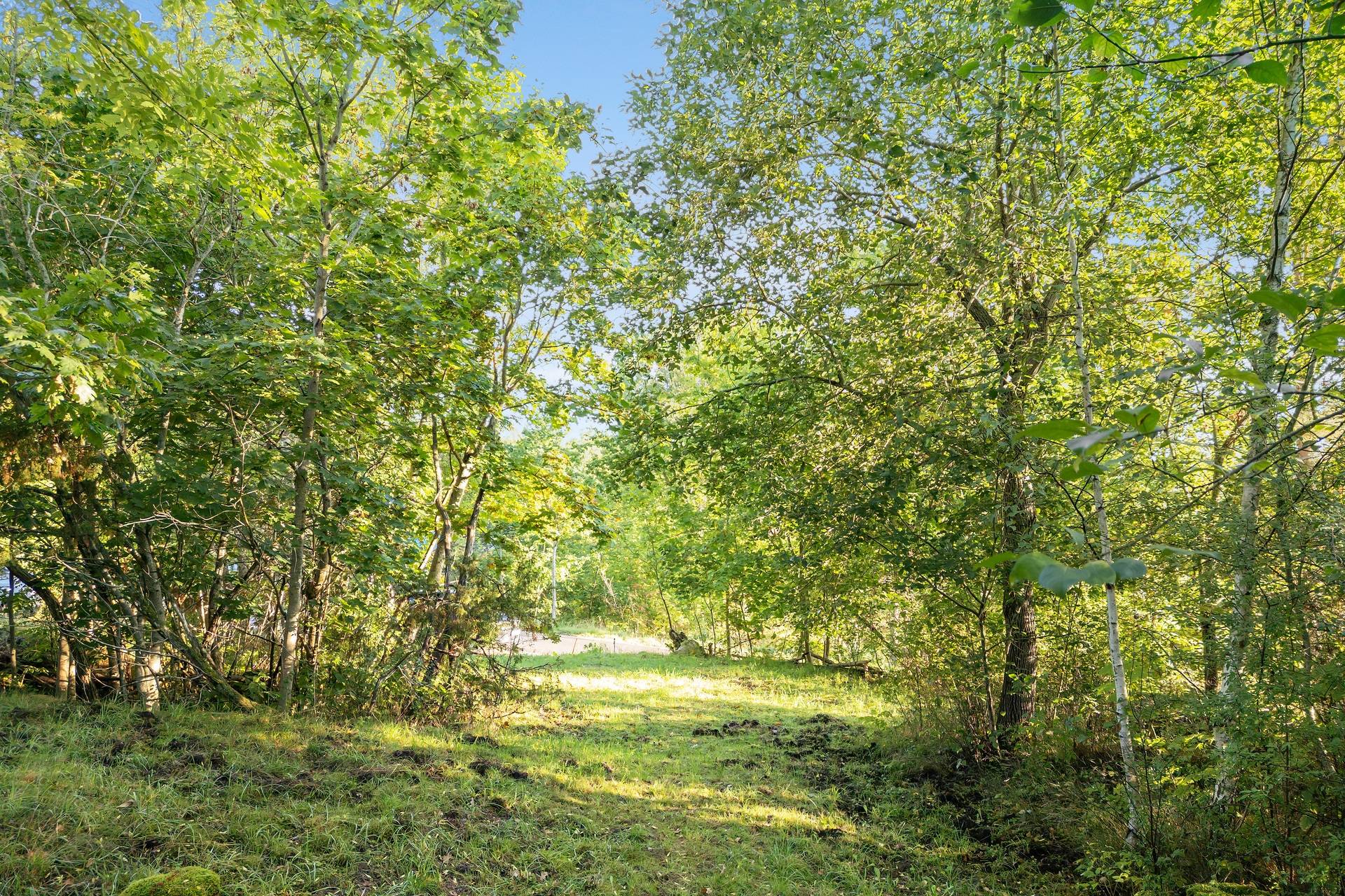 Tomt på Dalagårdsvägen 20 Kullavik Kungsbacka kommun - bild 3