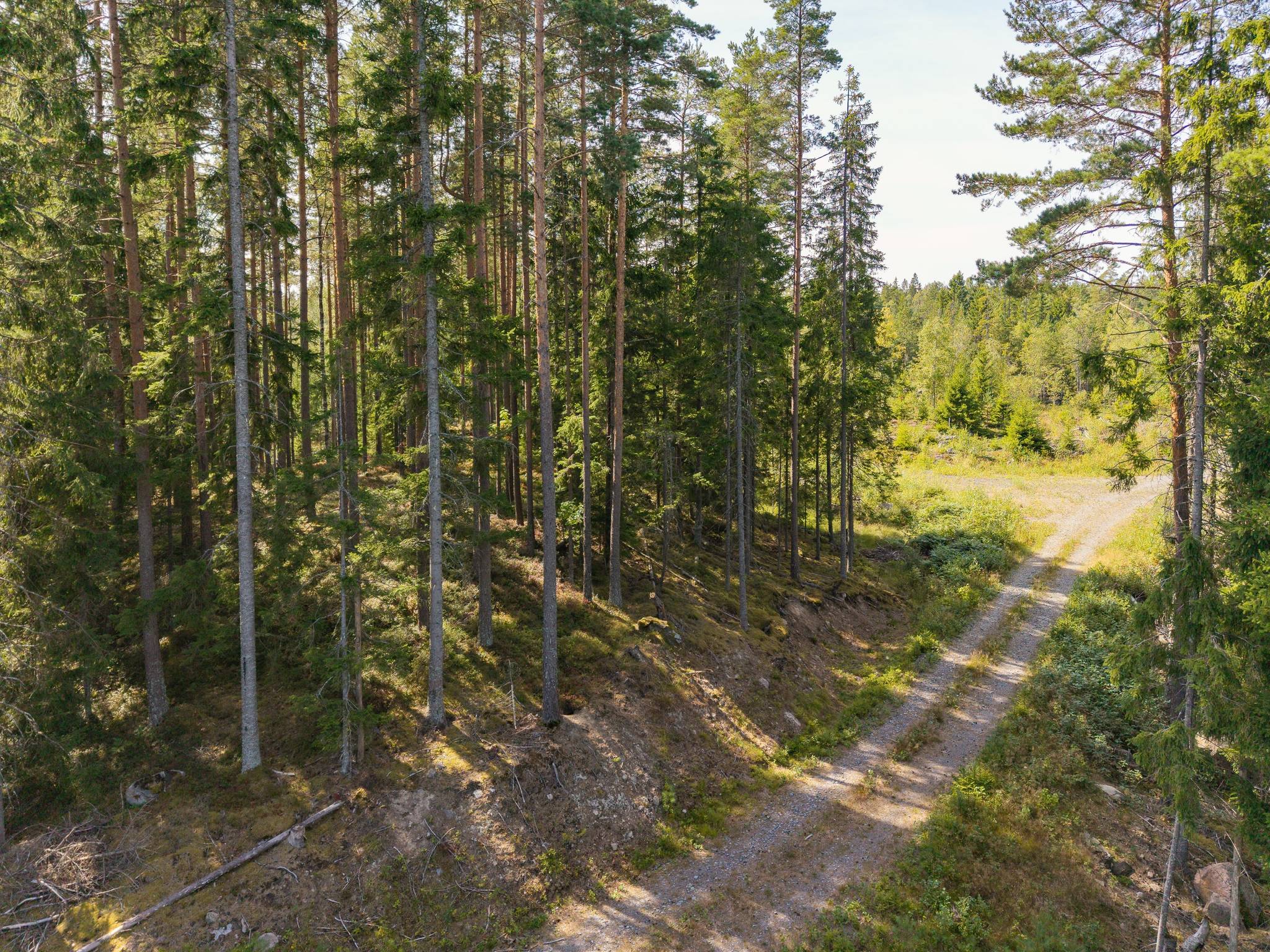 Gård med skogsbruk på Isåsen Askersunds kommun - bild 8