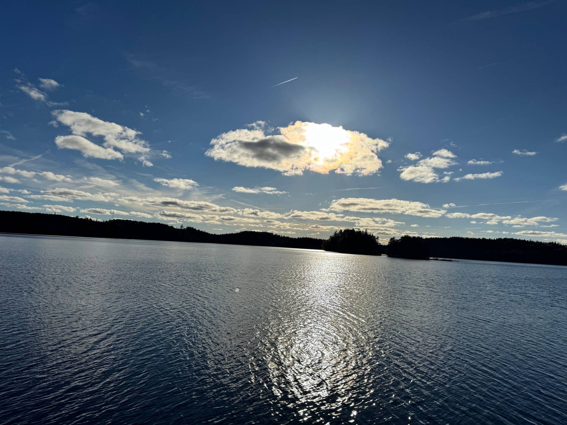 Gård med skogsbruk på Tokhult 1:13 Öxabäck Marks kommun - bild 25