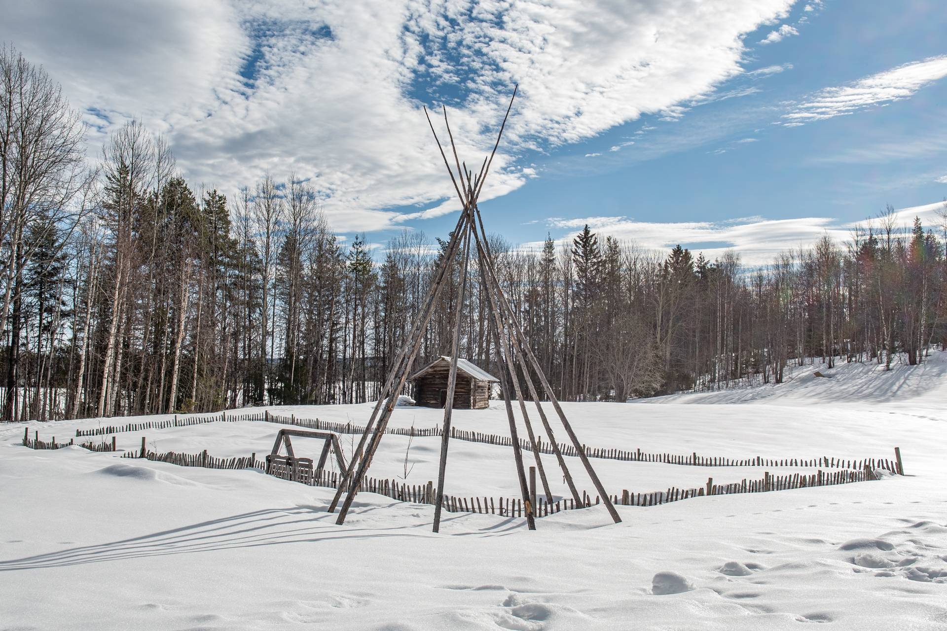6 rum Gård utan jordbruk på Lomselenäs 436 Blattnicksele Sorsele kommun - bild 48