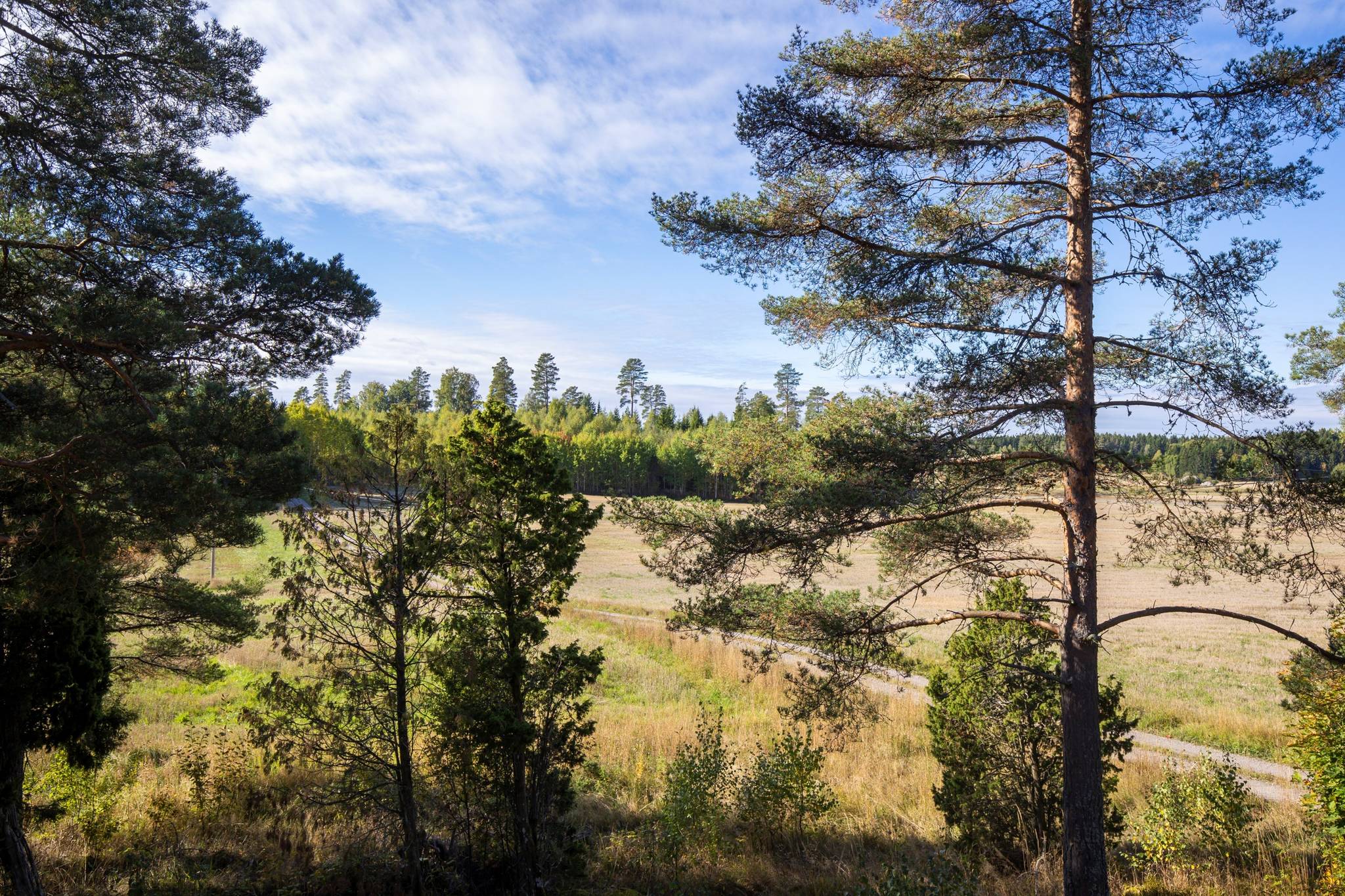 6 rum Villa på Fryggesboda 416 Lindesbergs kommun - bild 44