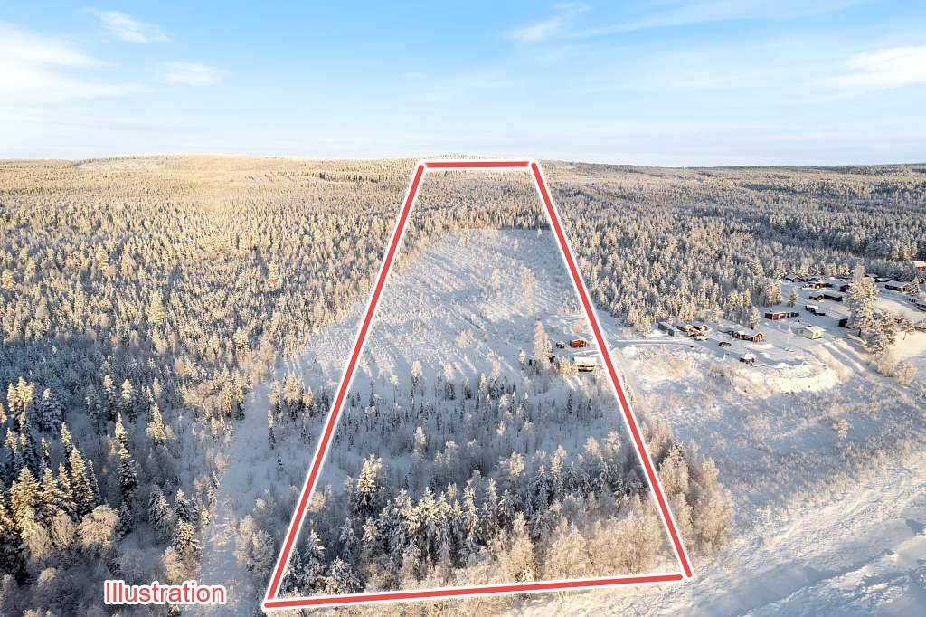Gård/skog på Harrikangas 191 Harrikangas Pajala kommun - bild 6