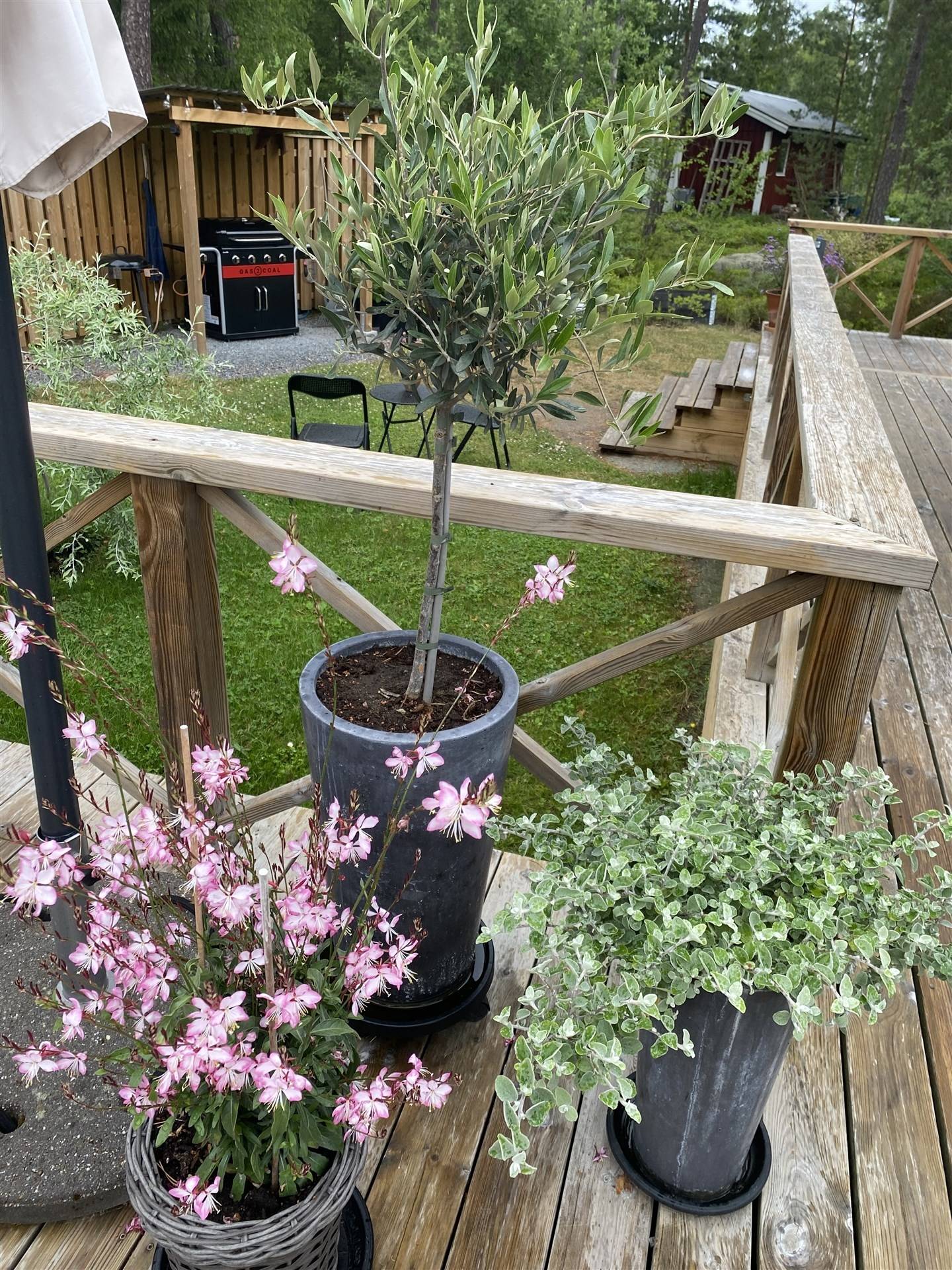3 rum Vinterbonat fritidshus på Blidö Söderskogs väg 26 Blidö - Söderskogen Norrtälje kommun - bild 33