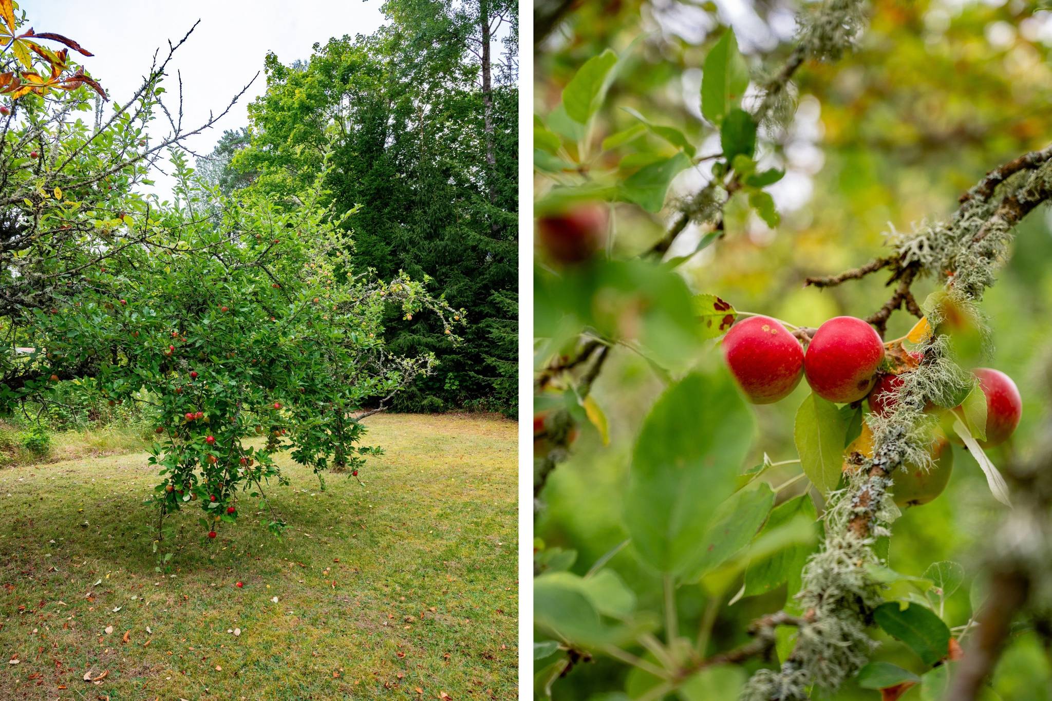 238 m² Villa på Edsvära Junghaga 1 Edsvära Vara kommun - bild 45