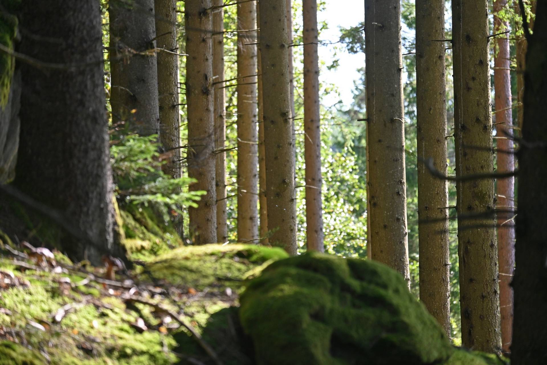 Västerlanda, Lilla Edets kommun