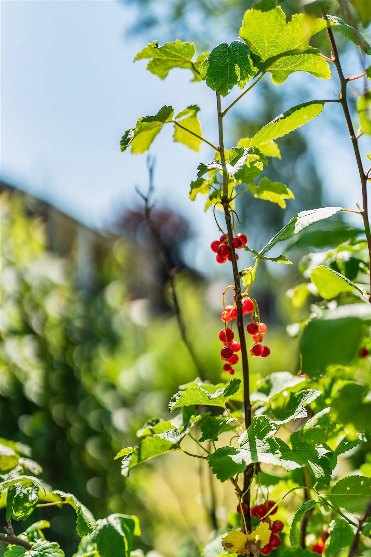 5 rum Villa på Skänkvägen 19 Masbo Skinnskattebergs kommun - bild 51