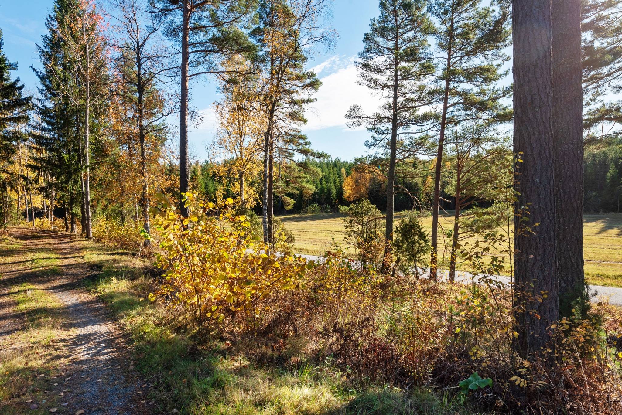 3 rum Vinterbonat fritidshus på Norrmarken 9 Gryta Norrtälje kommun - bild 3