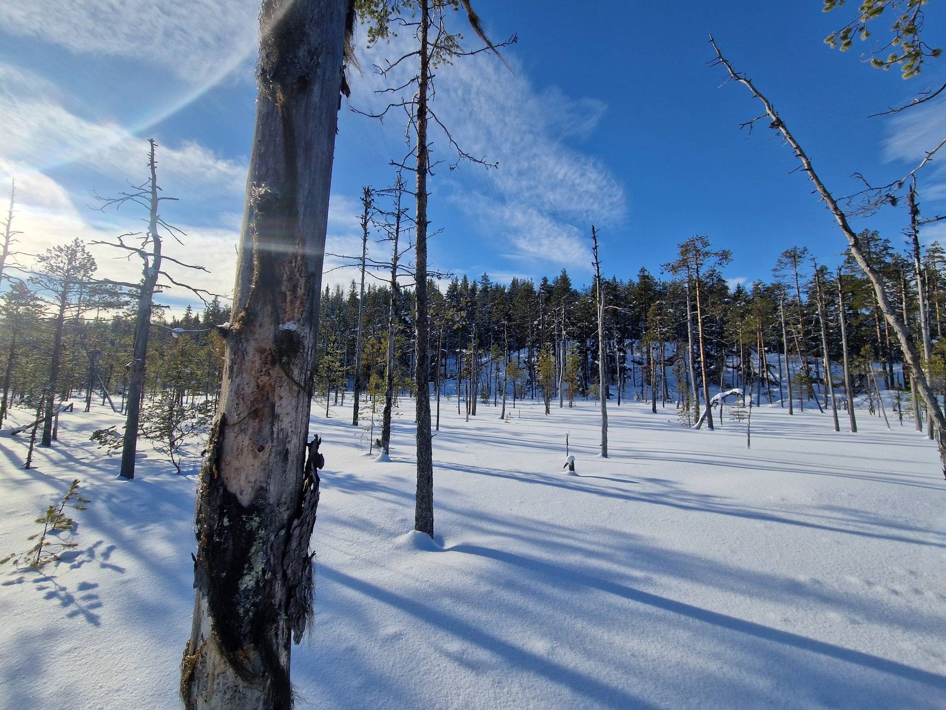 Gård med jordbruk på Kälarne Ansjö 184 Näset Bräcke kommun - bild 14