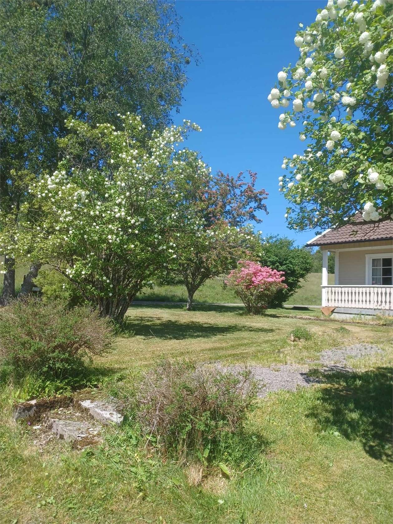 3 rum Gård/skog på Håbols-Hult 690 samt Håbols-Hult 1:20 Håbol Dals-Eds kommun - bild 19