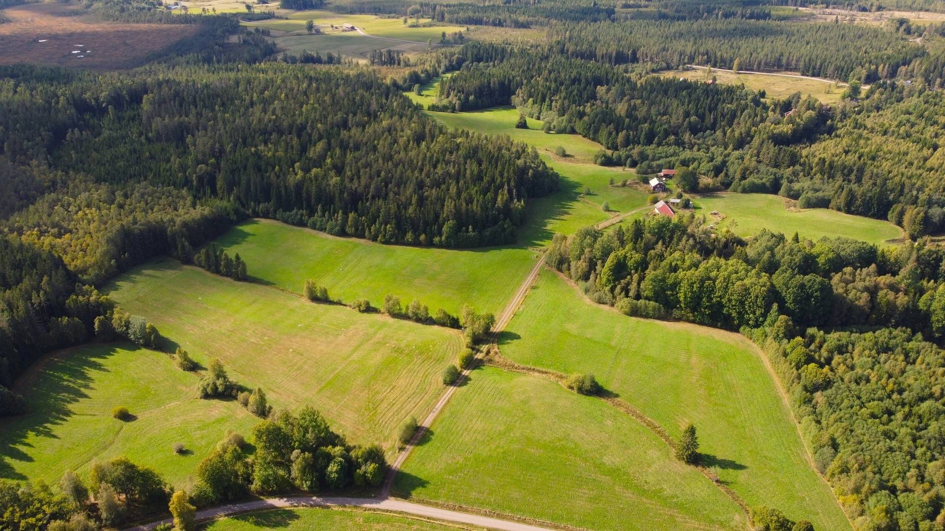 Gård med jordbruk på Snårbotten Laggartorp 23 Laggartorp Storfors kommun - bild 18