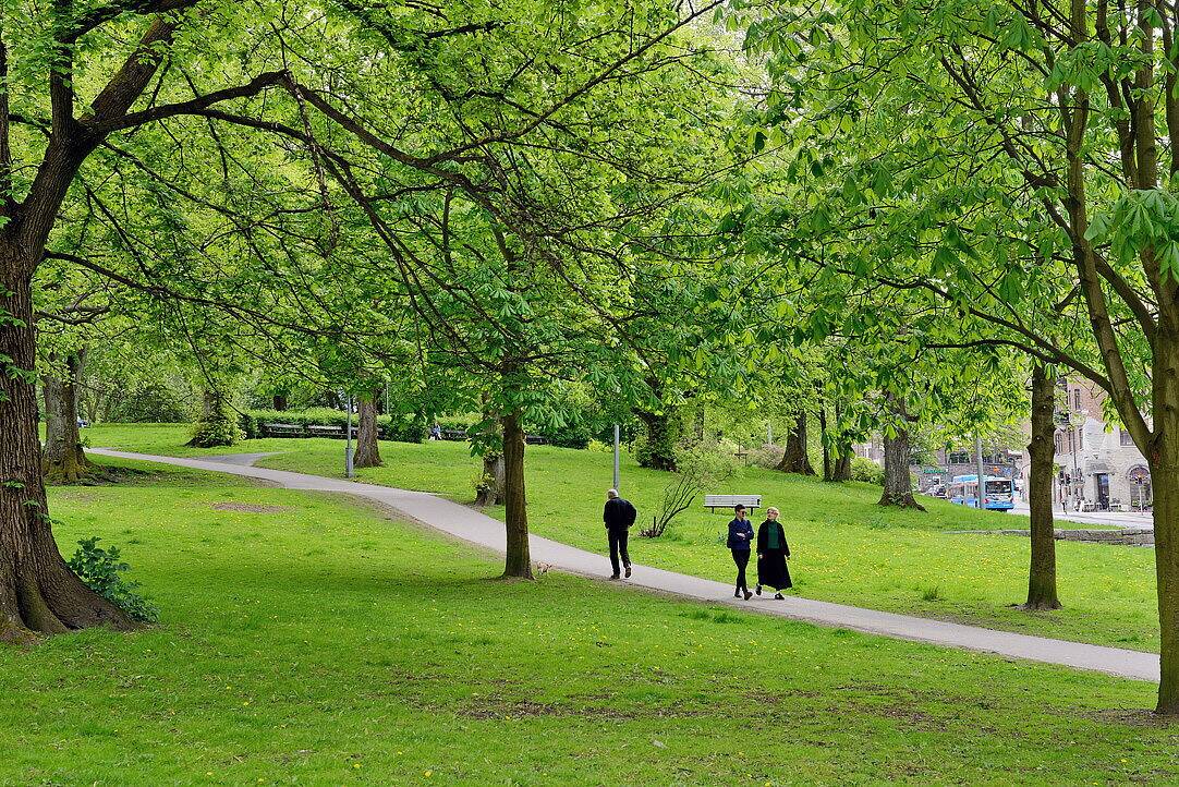 2 rum Lägenhet på Aschebergsgatan 1 Vasastaden Göteborgs kommun - bild 43