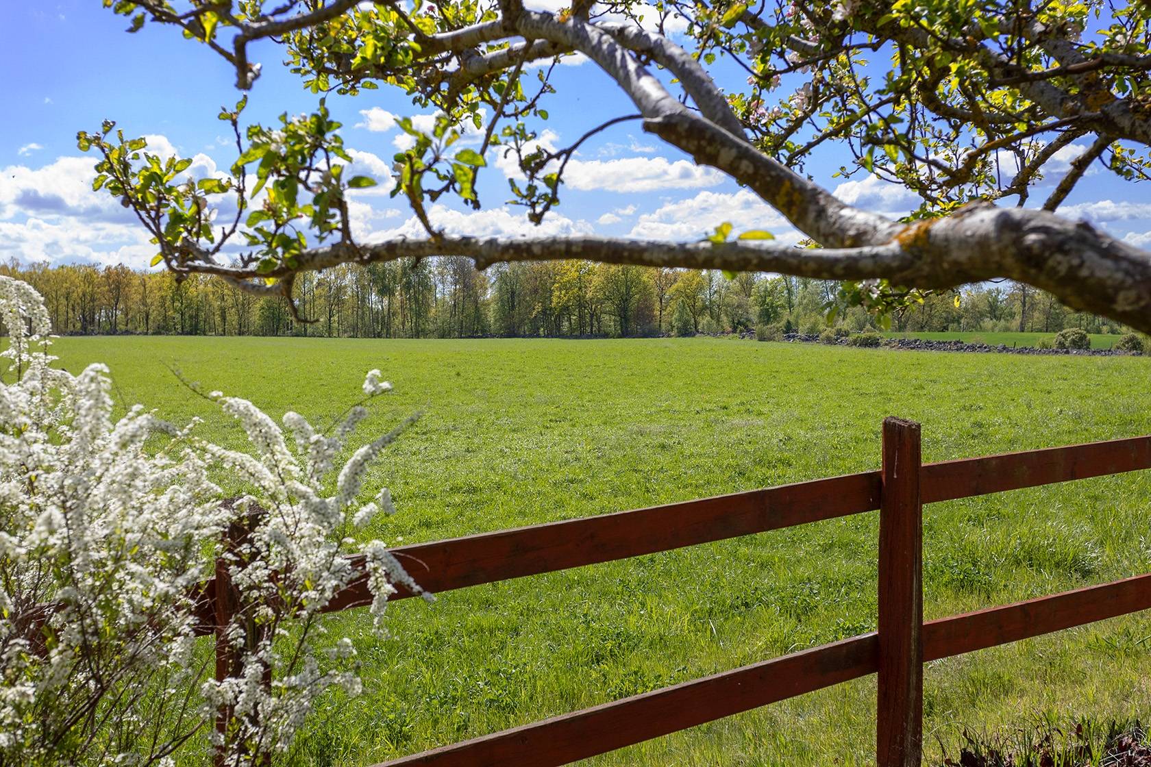 3 rum villa på Förlösa kyrkby 408 Förlösa, Kalmar kommun - bild 4