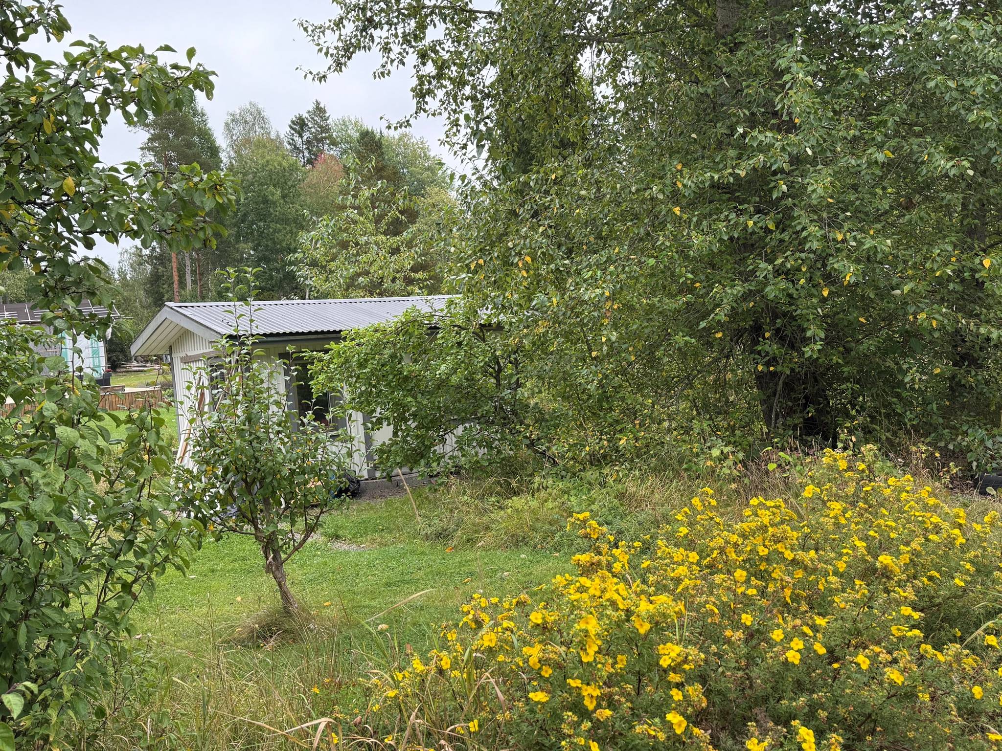 2 rum Fritidshus på Väskinge Augustberg 105 Alunda Östhammars kommun - bild 15