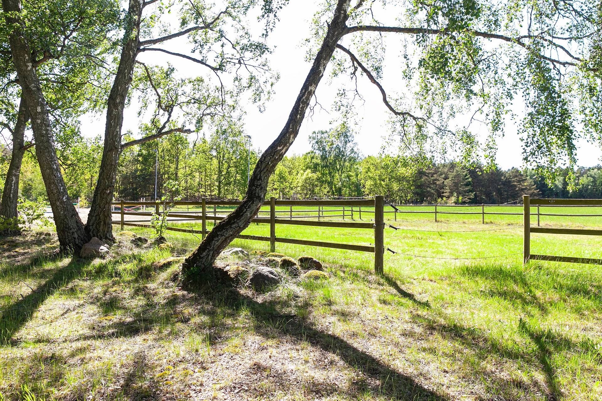 360 m² Gård utan jordbruk på Veberöd 444 Lunds kommun - bild 35