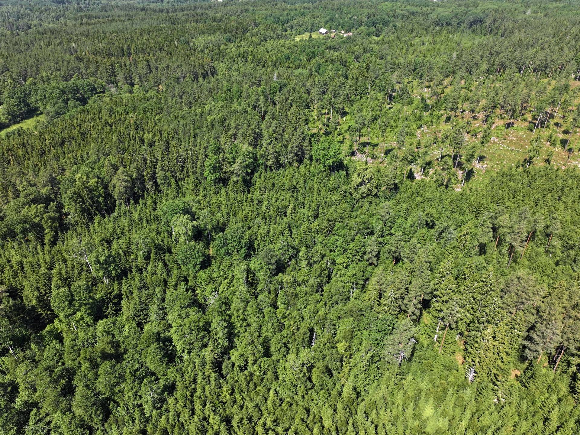Gård/skog på Trehörna Fågeltorp 1 Ödeshögs kommun - bild 7