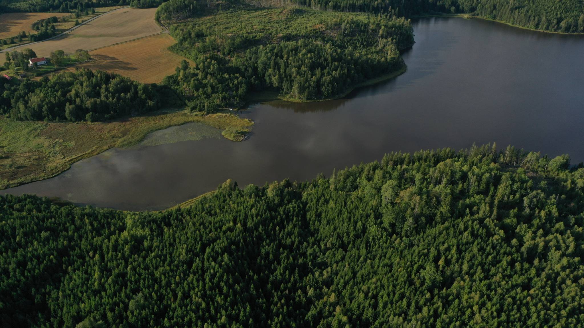 99 m² Gård/skog på Stuveryr 12 Färgelanda kommun - bild 2