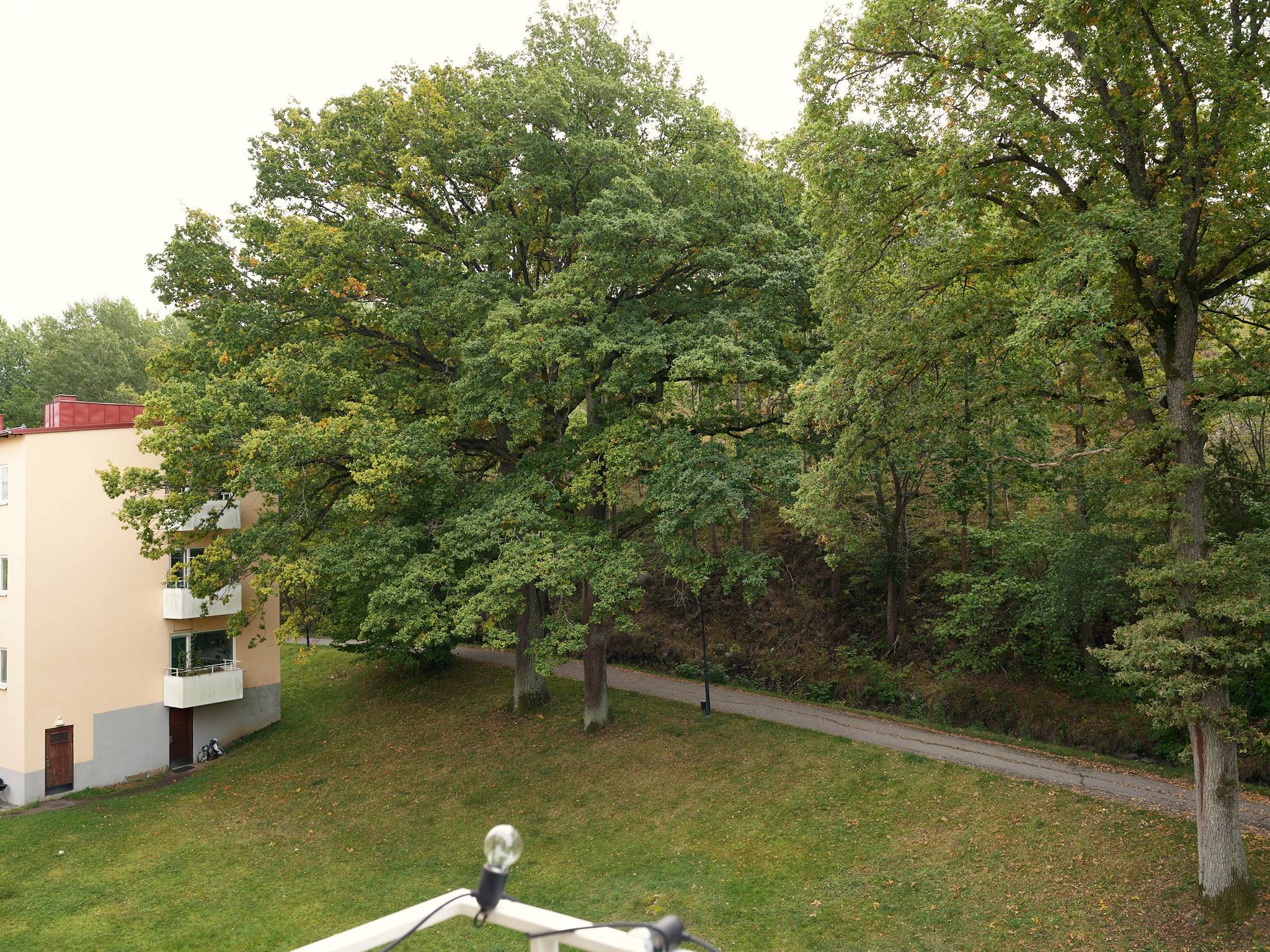 2 rum lägenhet på Hägerstensvägen 223, 1303 Hägersten - Örnsberg, Stockholms kommun - bild 5
