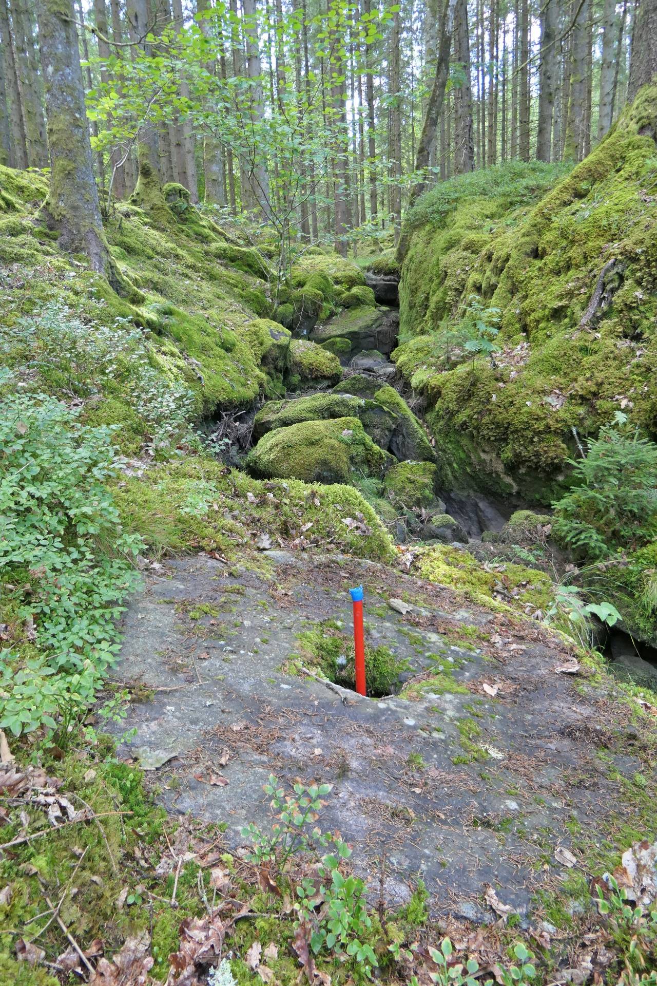 Gård med skogsbruk på Attlered Lilla Edets kommun - bild 37