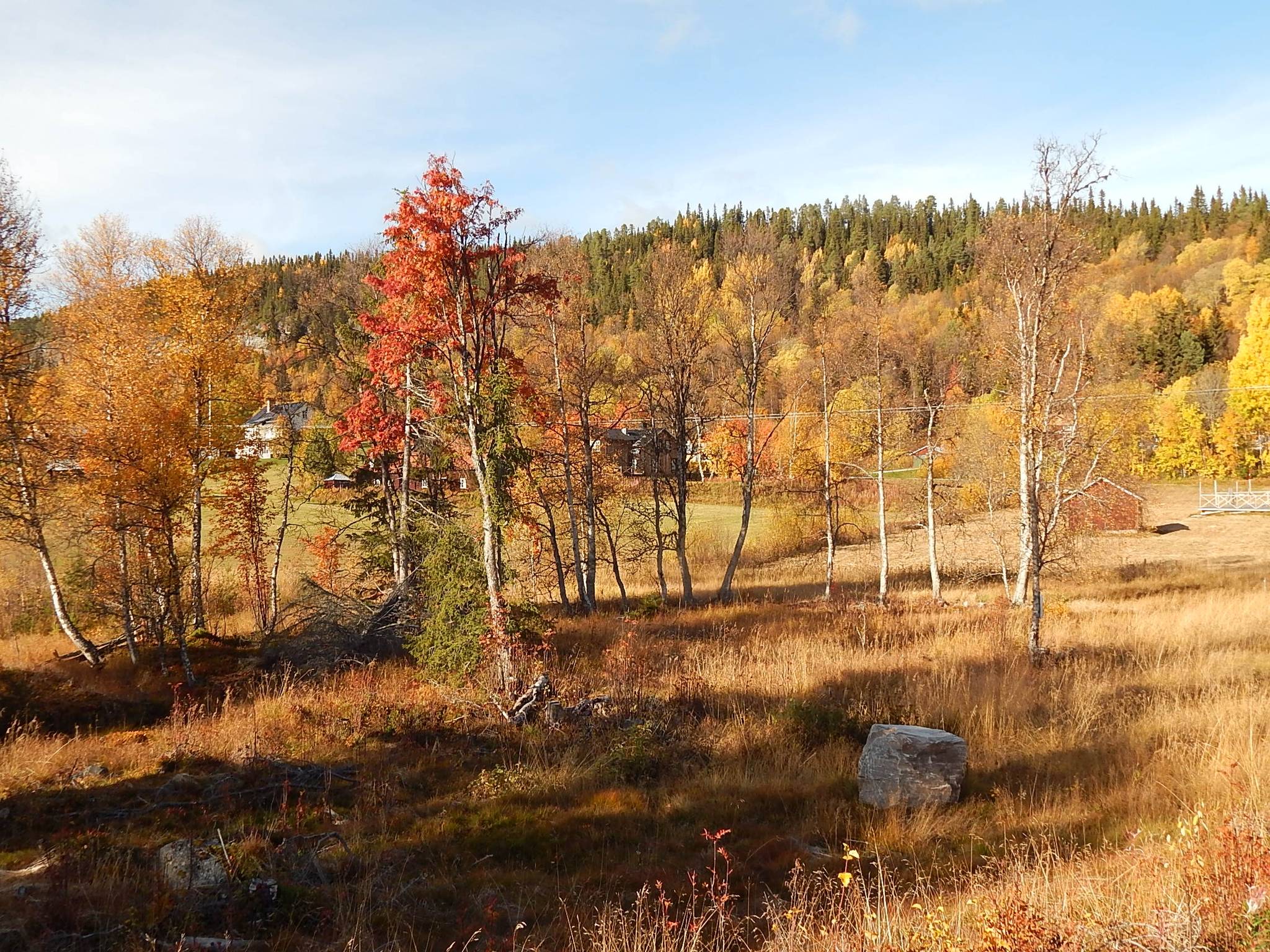 Tomt på Spälstigen 6 Tännäs Härjedalens kommun - bild 3