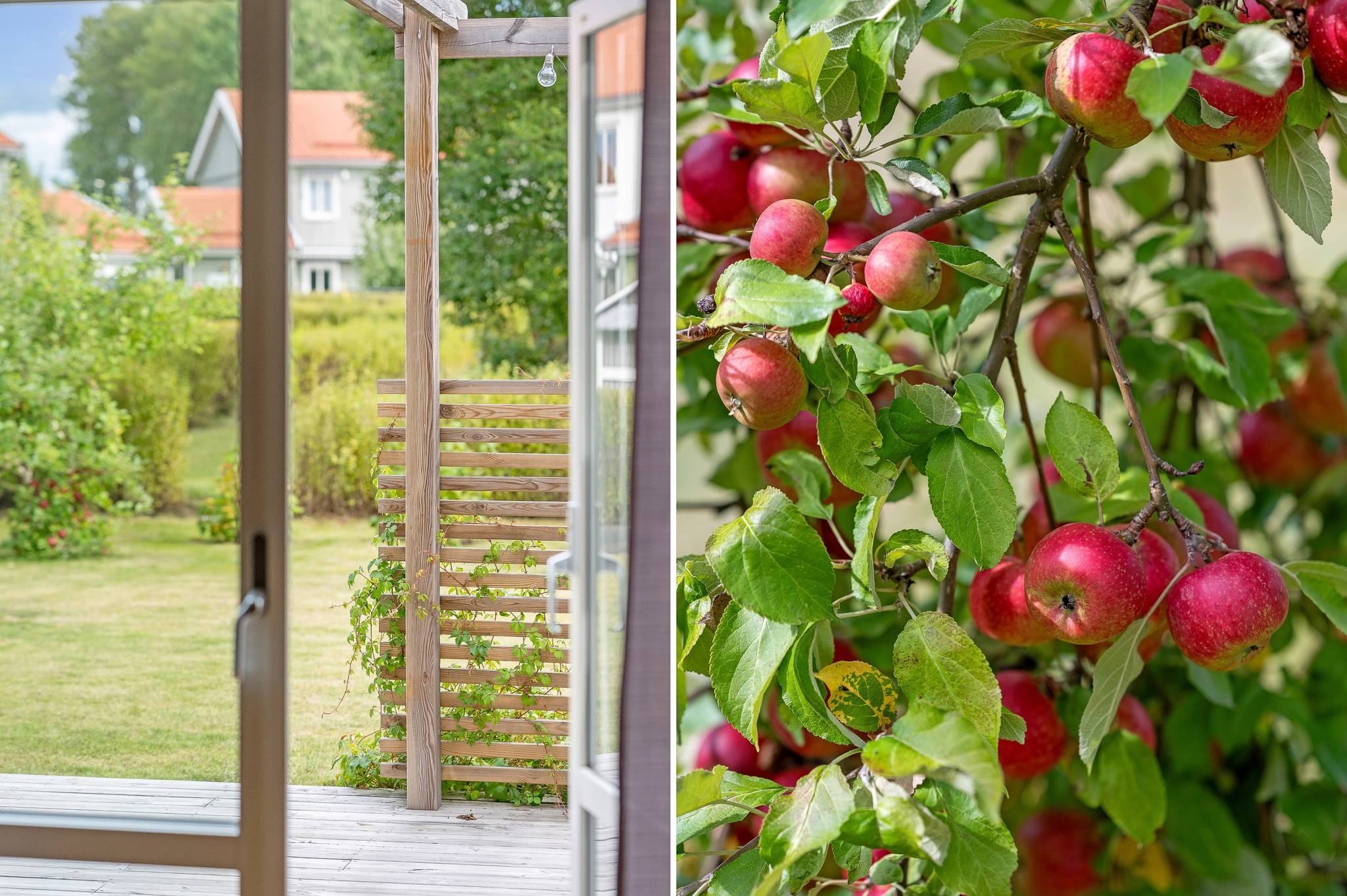 5 rum Villa på Timotejvägen 15 Lövstalöt Uppsala kommun - bild 8