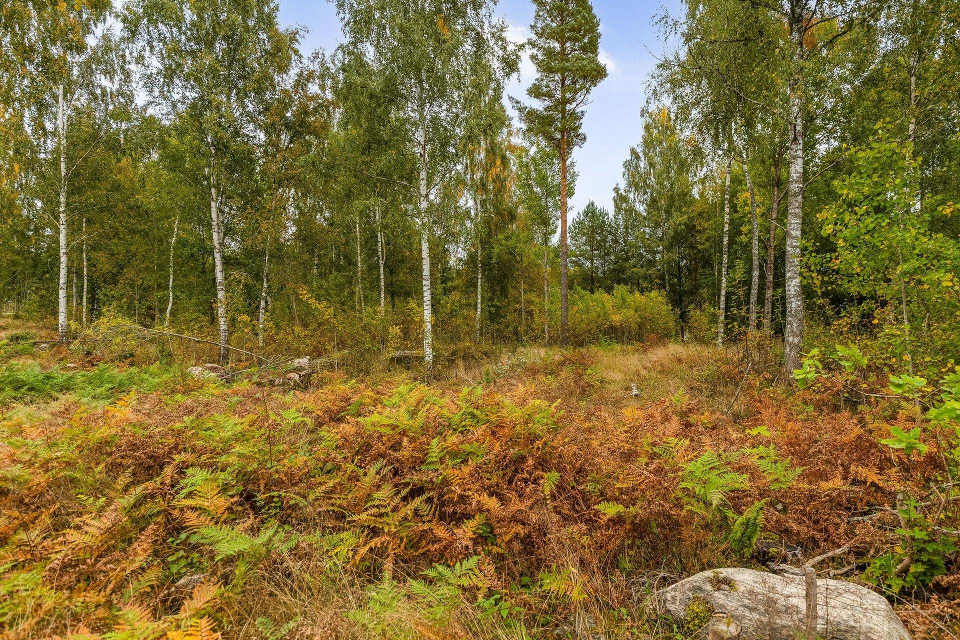Gård/skog på Bäcken Hagen 2 Töreboda kommun - bild 41