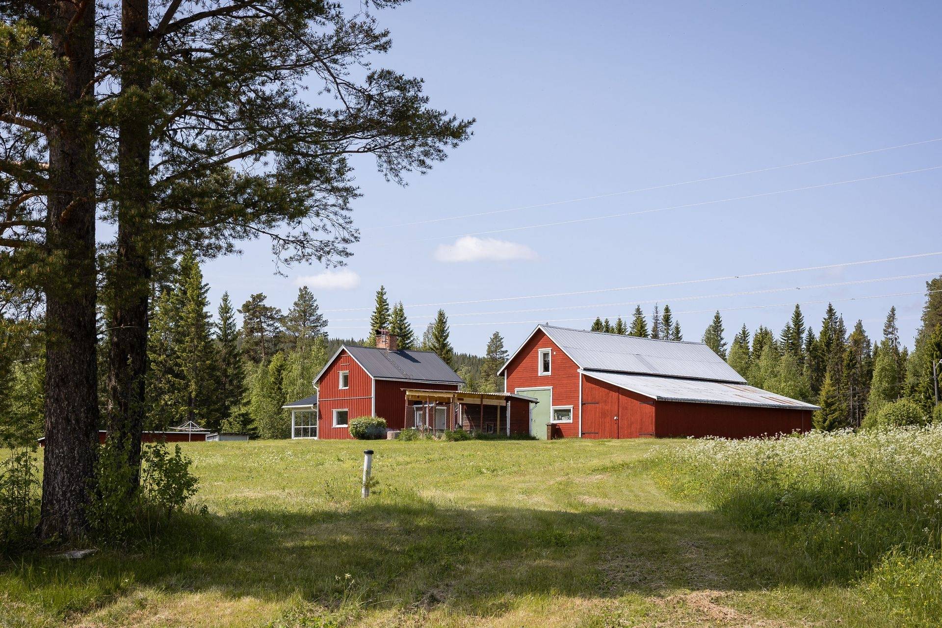 Gård med jordbruk på Svartviken 135 Bensjö Bräcke kommun - bild 4