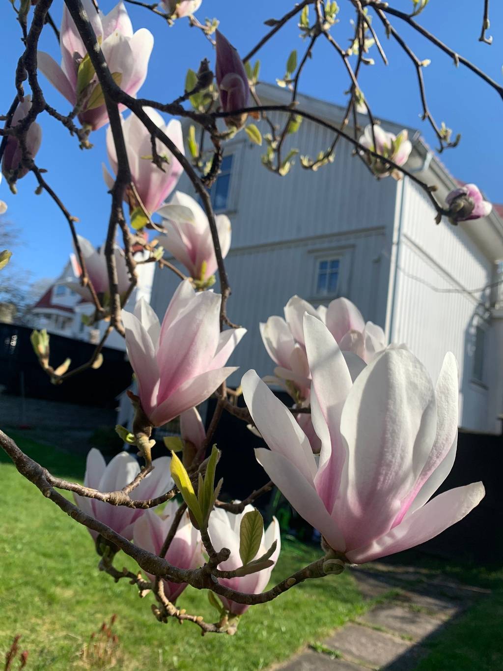 7 rum Vinterbonat fritidshus på Kyrkvägen 21 Rönnäng Tjörns kommun - bild 54