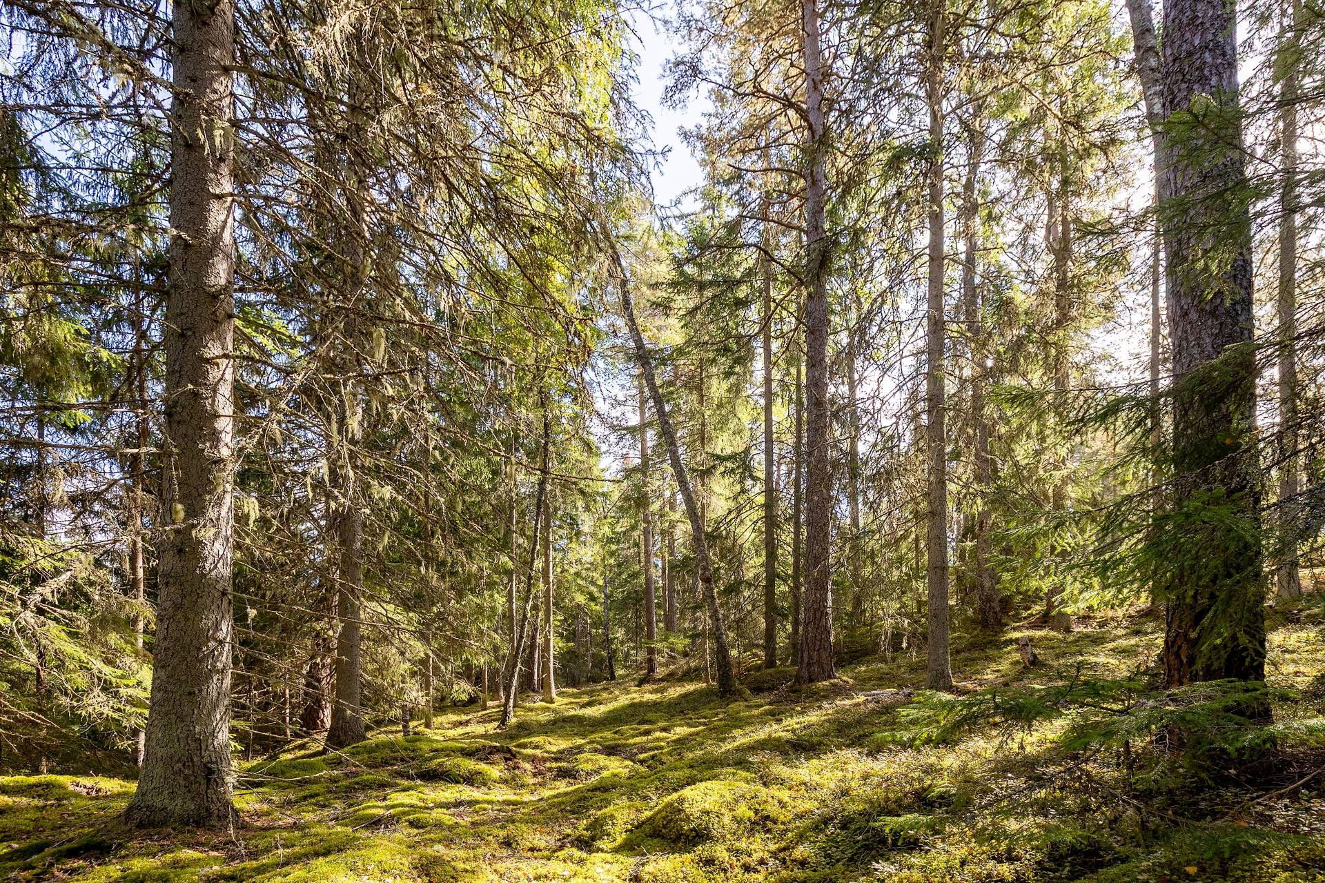 190 m² Gård med jordbruk på Djupviksängen Askersunds kommun - bild 29