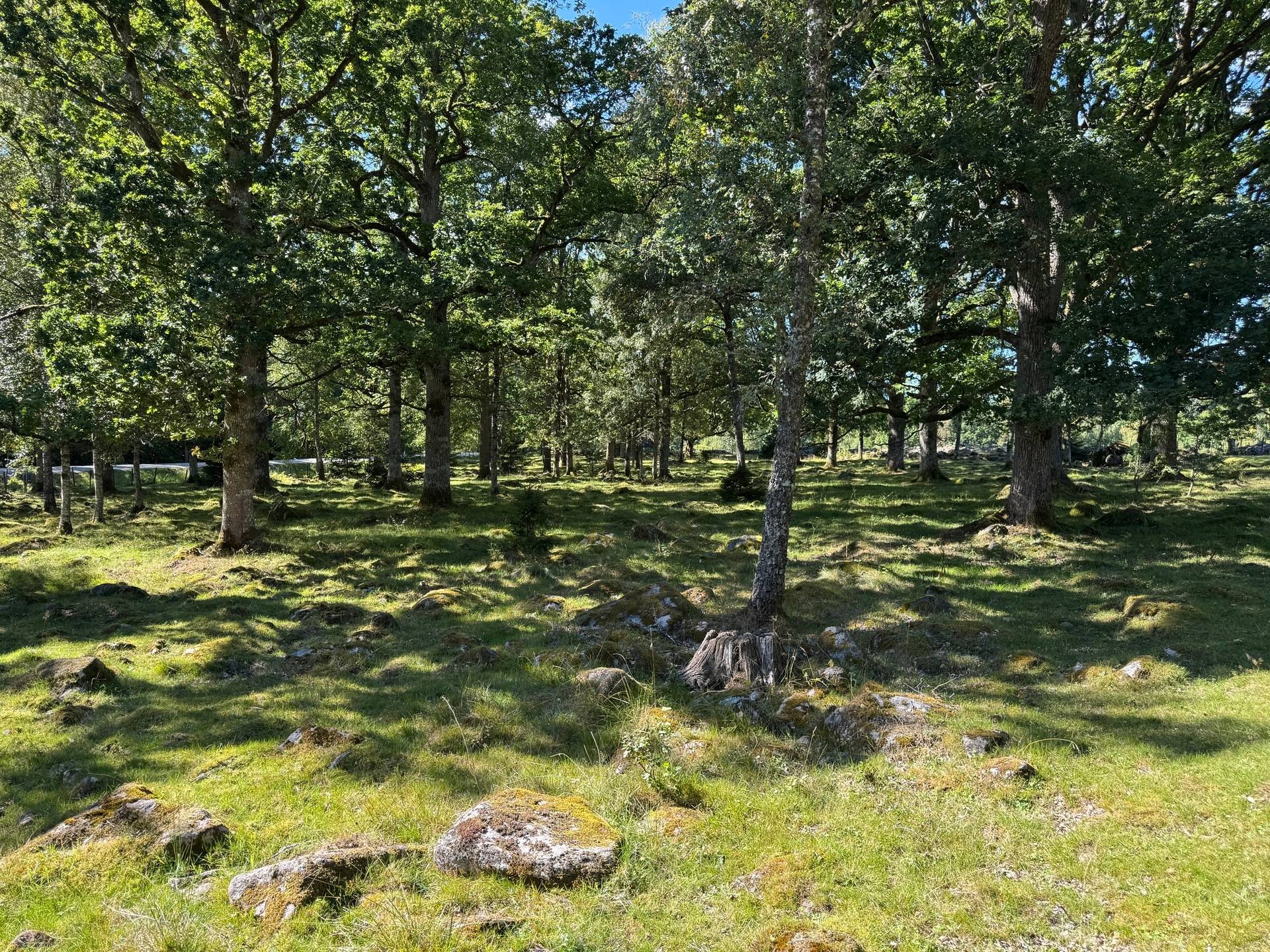6 rum Gård med jordbruk på Kvarbo gård 2 Borås kommun - bild 47