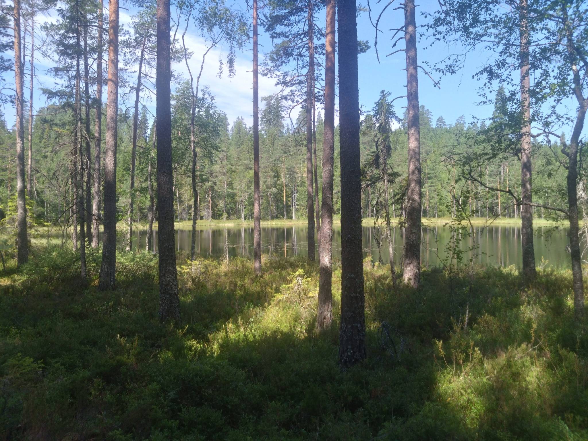 Gård/skog på Hyttskogen Resta Lindesbergs kommun - bild 11