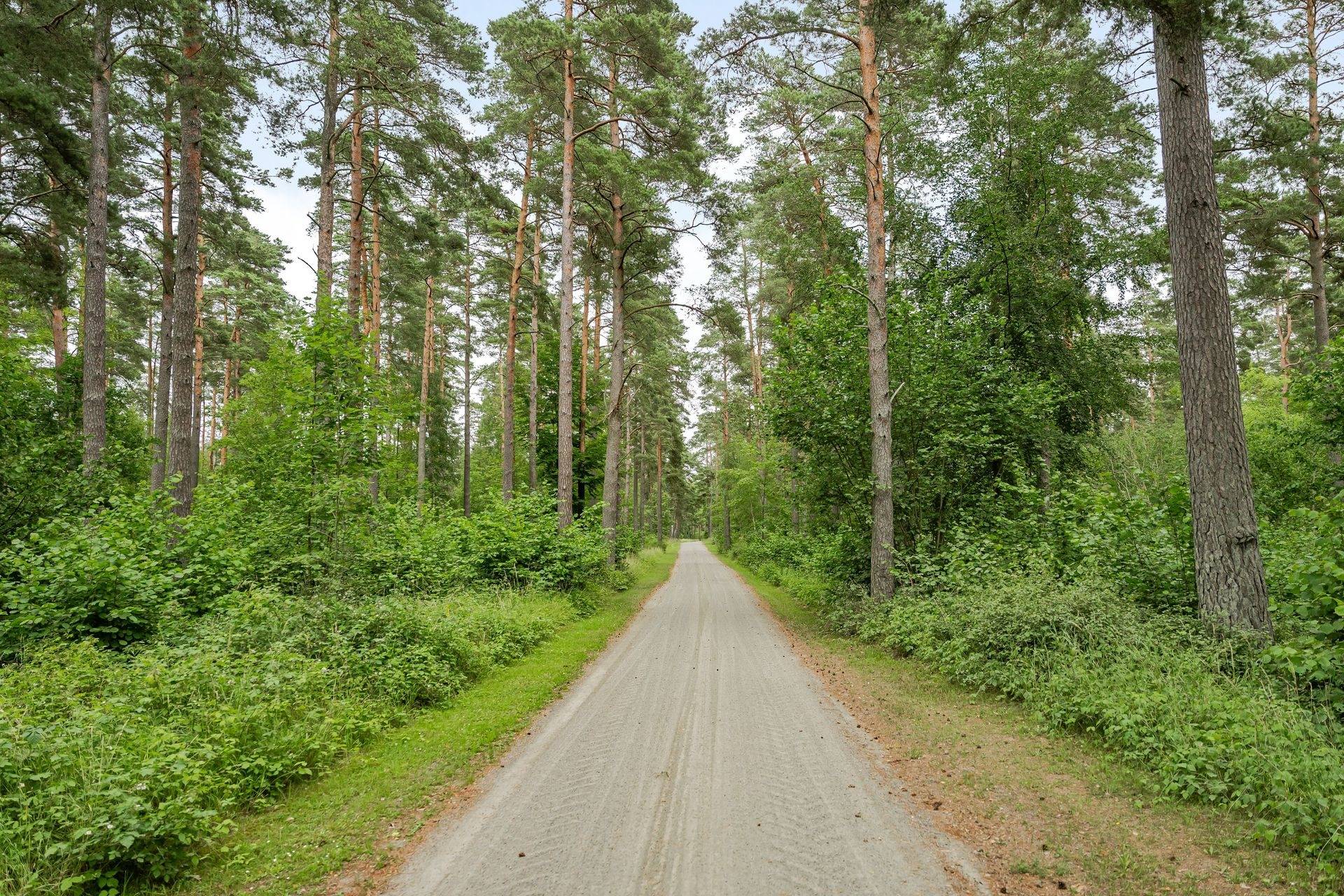 275 m² Gård med skogsbruk på Margaretehof, Lyngbyvägen 60 Everöd Kristianstads kommun - bild 127
