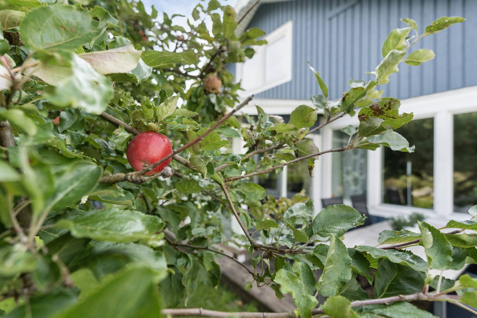 6 rum Villa på Övravägen 5 Hjärtum Lilla Edets kommun - bild 10