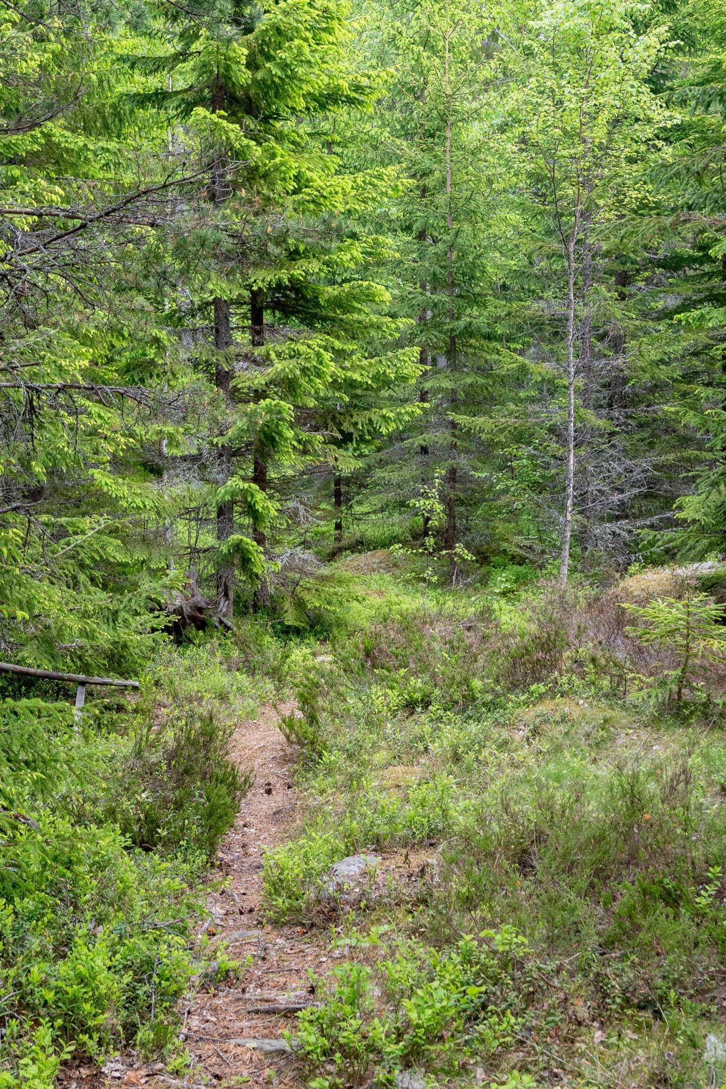 4 rum Fritidshus på Hogården Gåsholma Gävle kommun - bild 45
