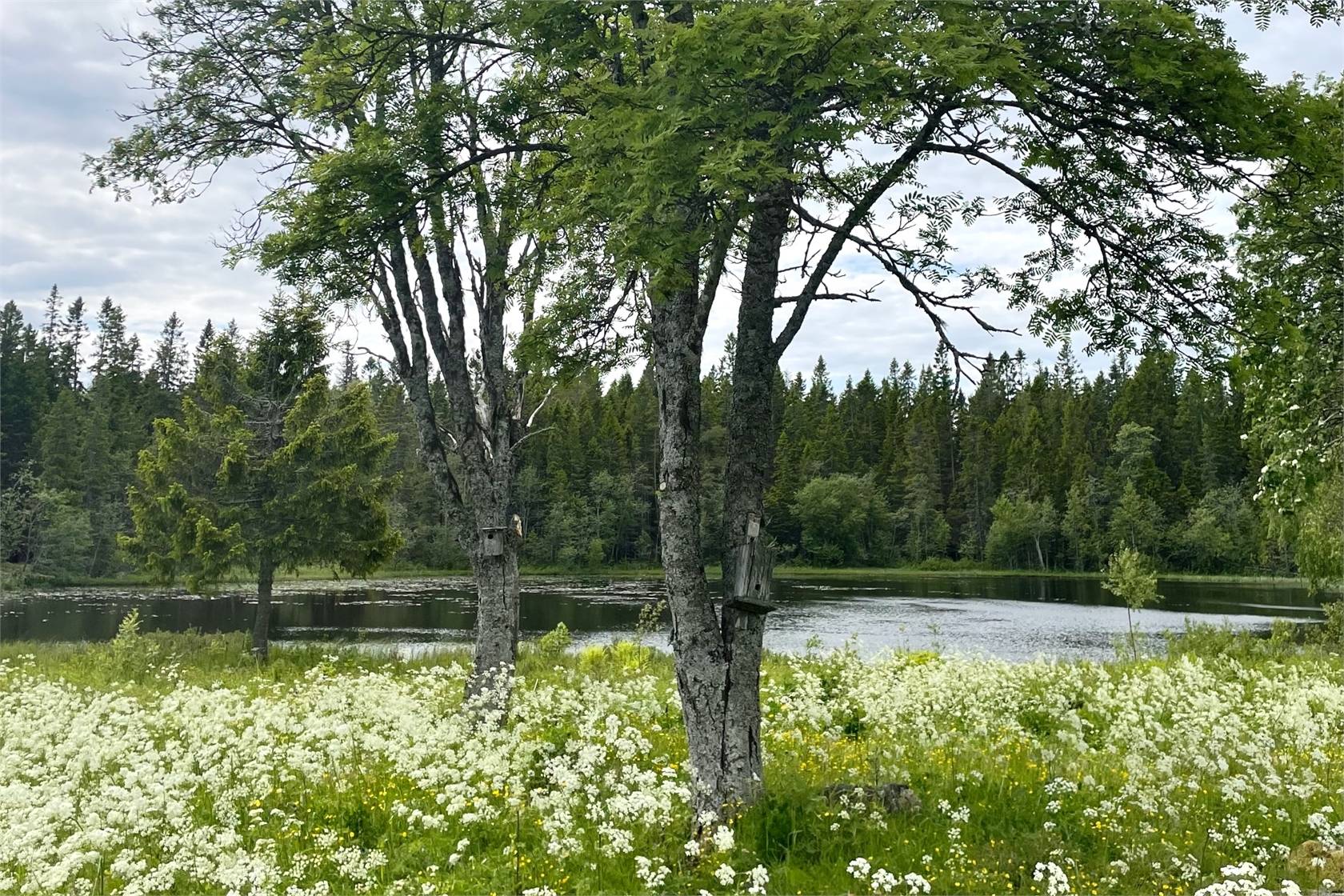 5 rum Villa på Kyan 218 Lövånger Skellefteå kommun - bild 51