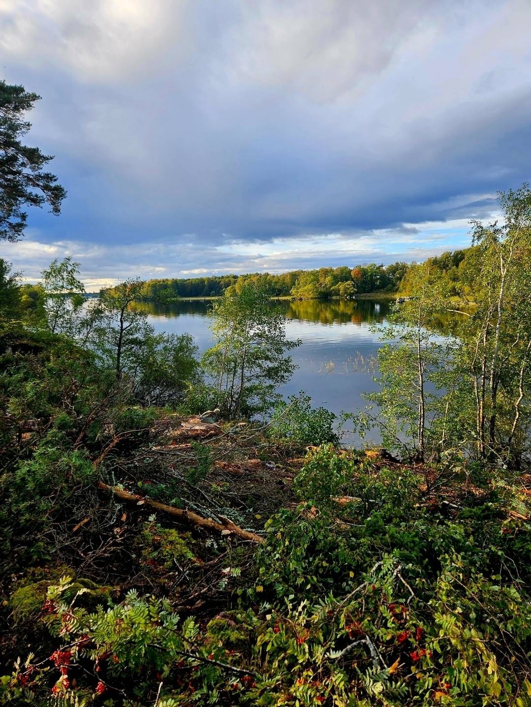 3 rum Gård/skog på Bärsta Storstugan Bärsta vid Hjälmaren Södermanland Eskilstuna kommun - bild 94