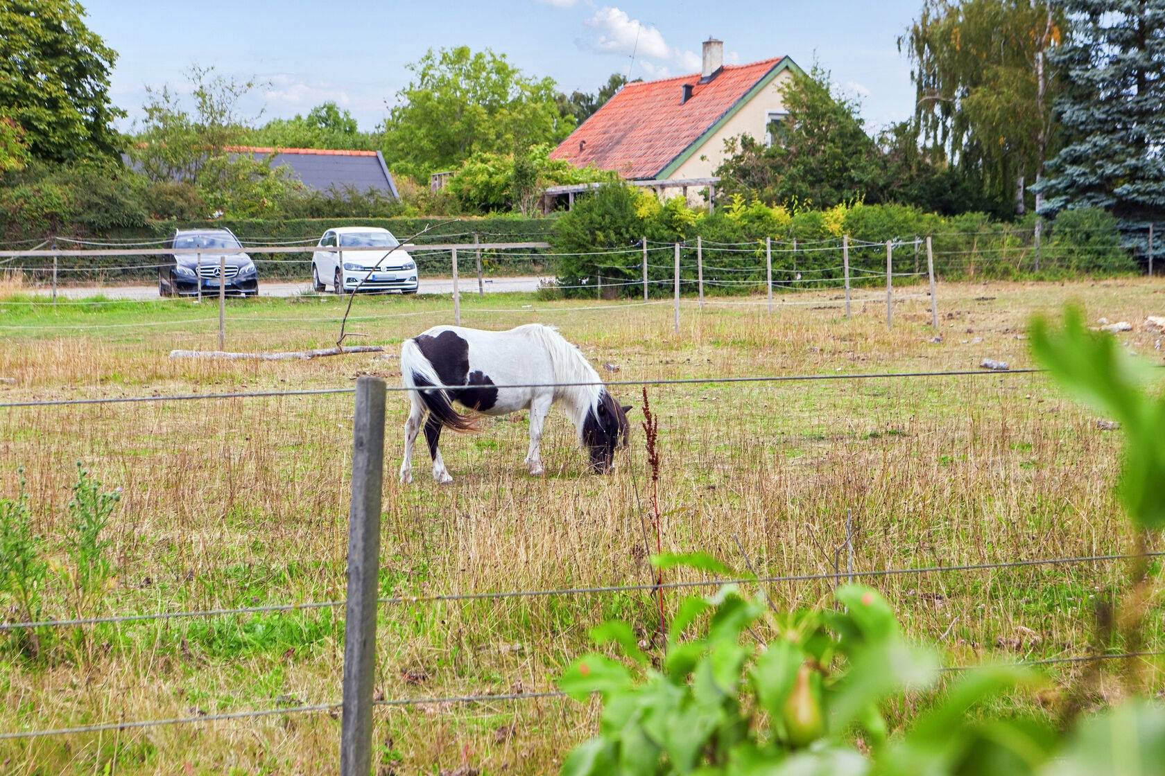 8 rum Villa på Krombyvägen 81 Käglinge Malmö kommun - bild 39