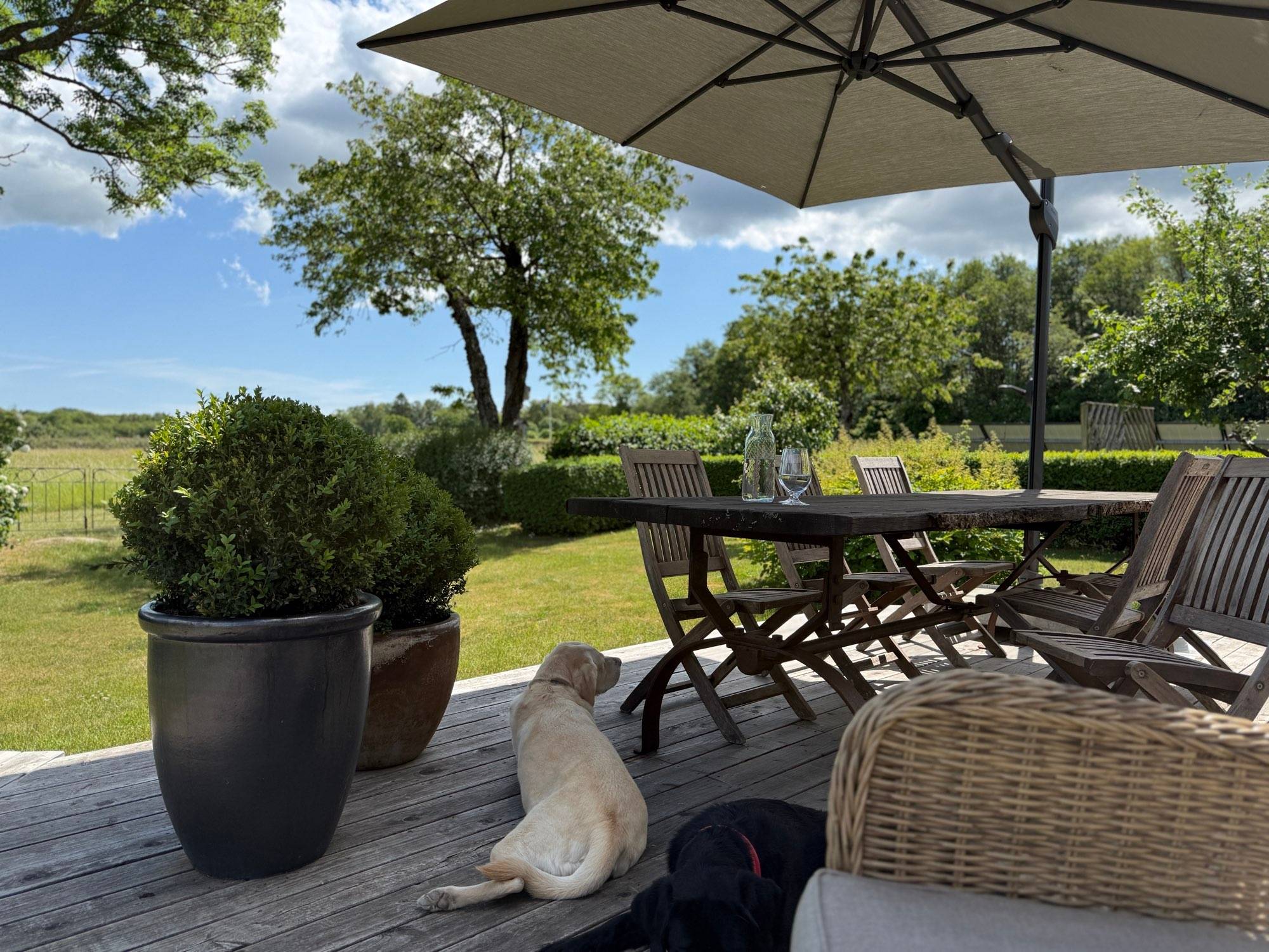 596 m² Villa på Kiviks stora väg 37 Simrishamns kommun - bild 10