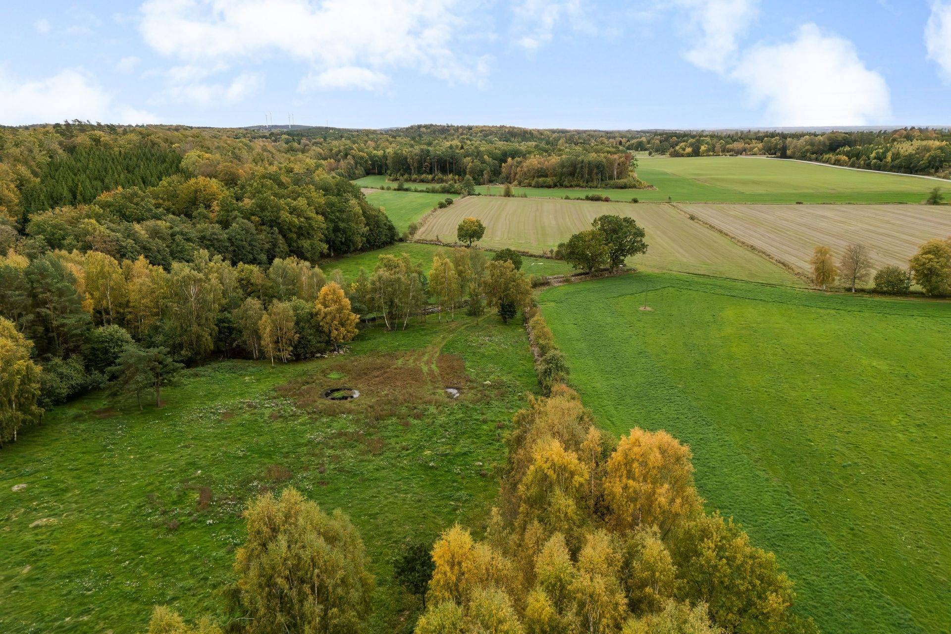 135 m² Gård med skogsbruk på Värestorp 2076 Östra Göinge kommun - bild 72