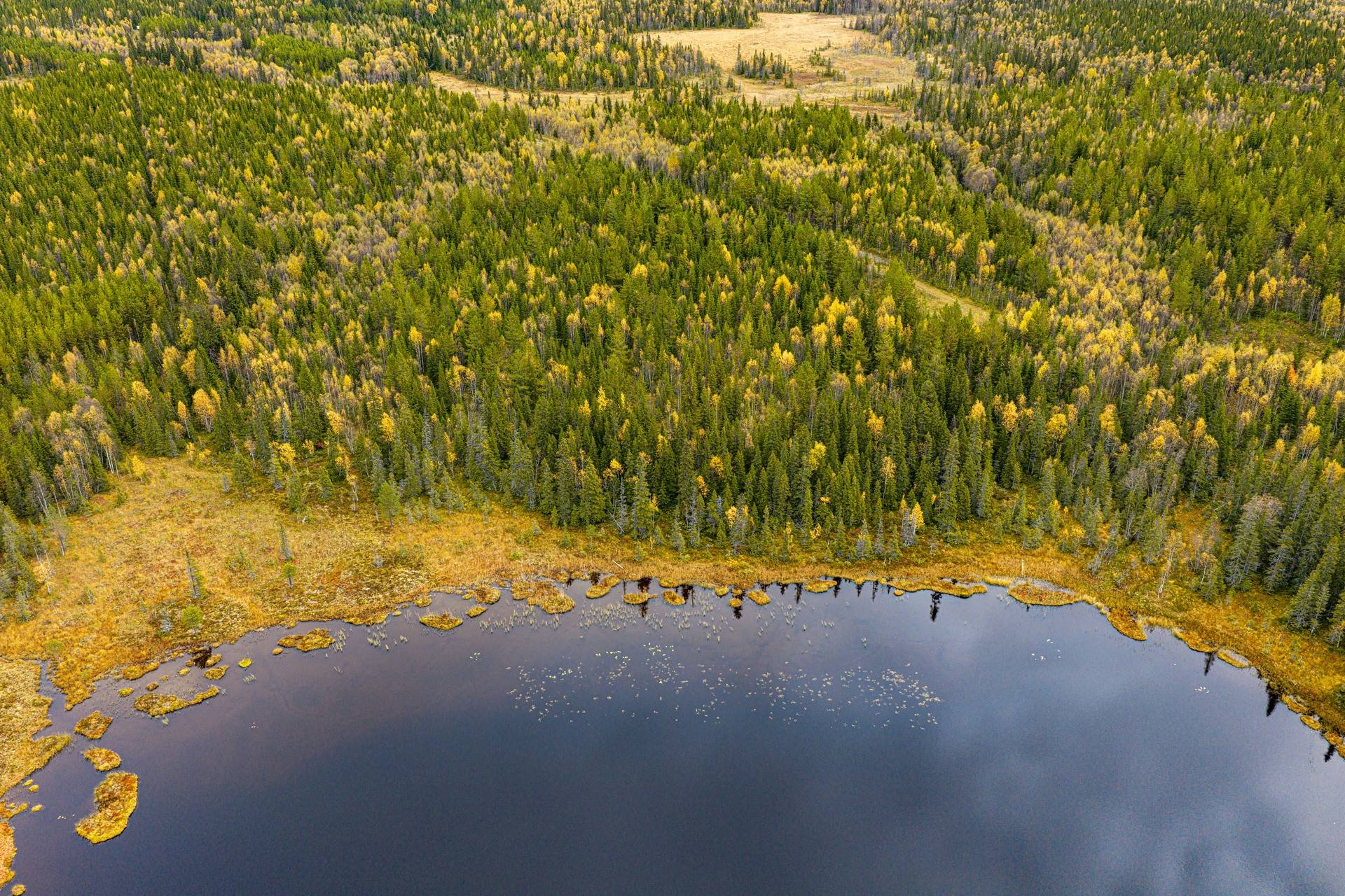 gård/skog på Åberg Alsen, Krokoms kommun - bild 1
