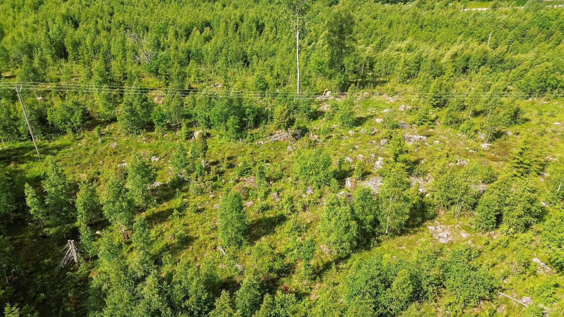 Gård/skog på Vallbyvägen 20 Hofors kommun - bild 5