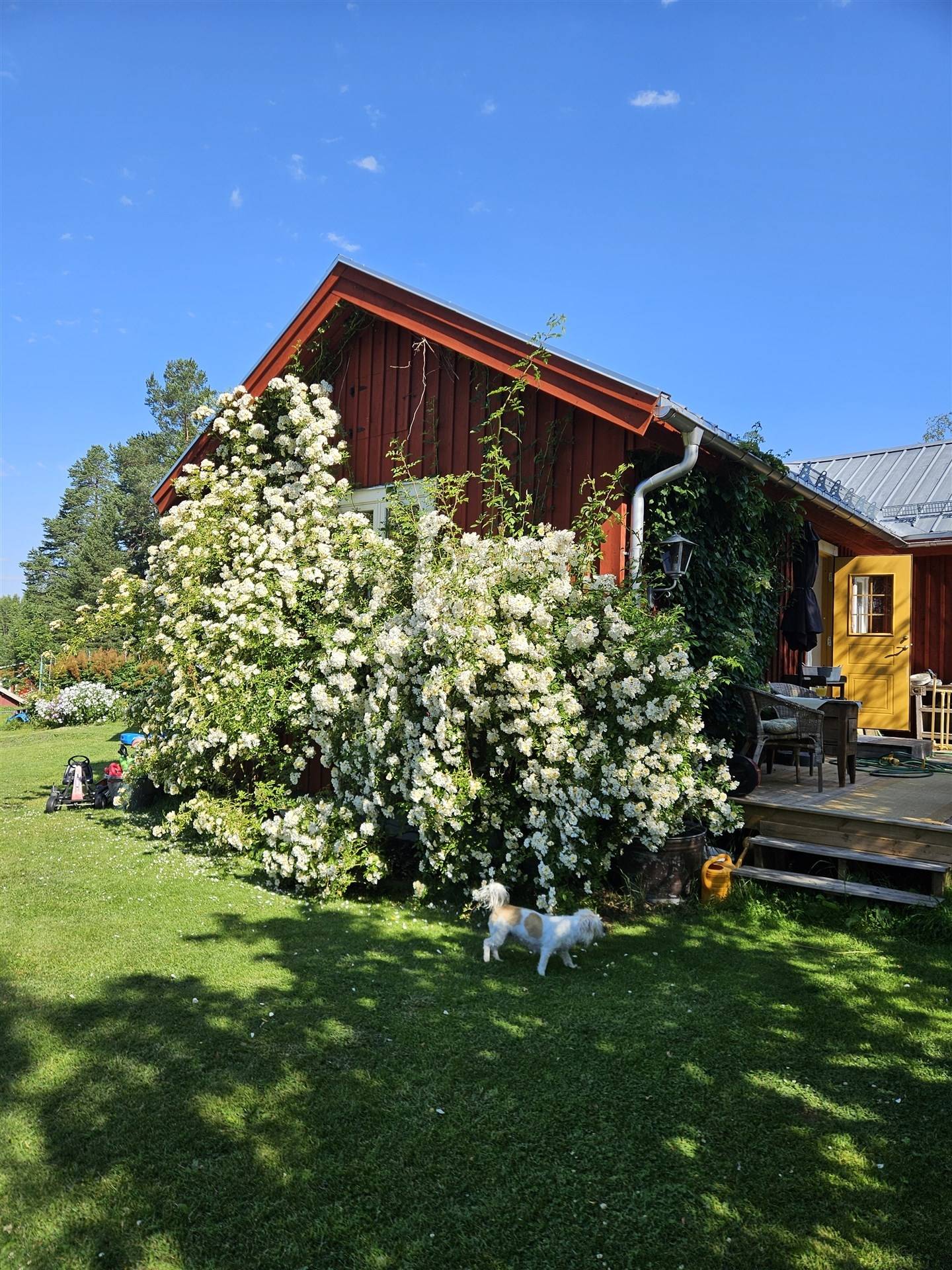 3 rum Gård/skog på Nederberge 78 Nederberge Hudiksvalls kommun - bild 36