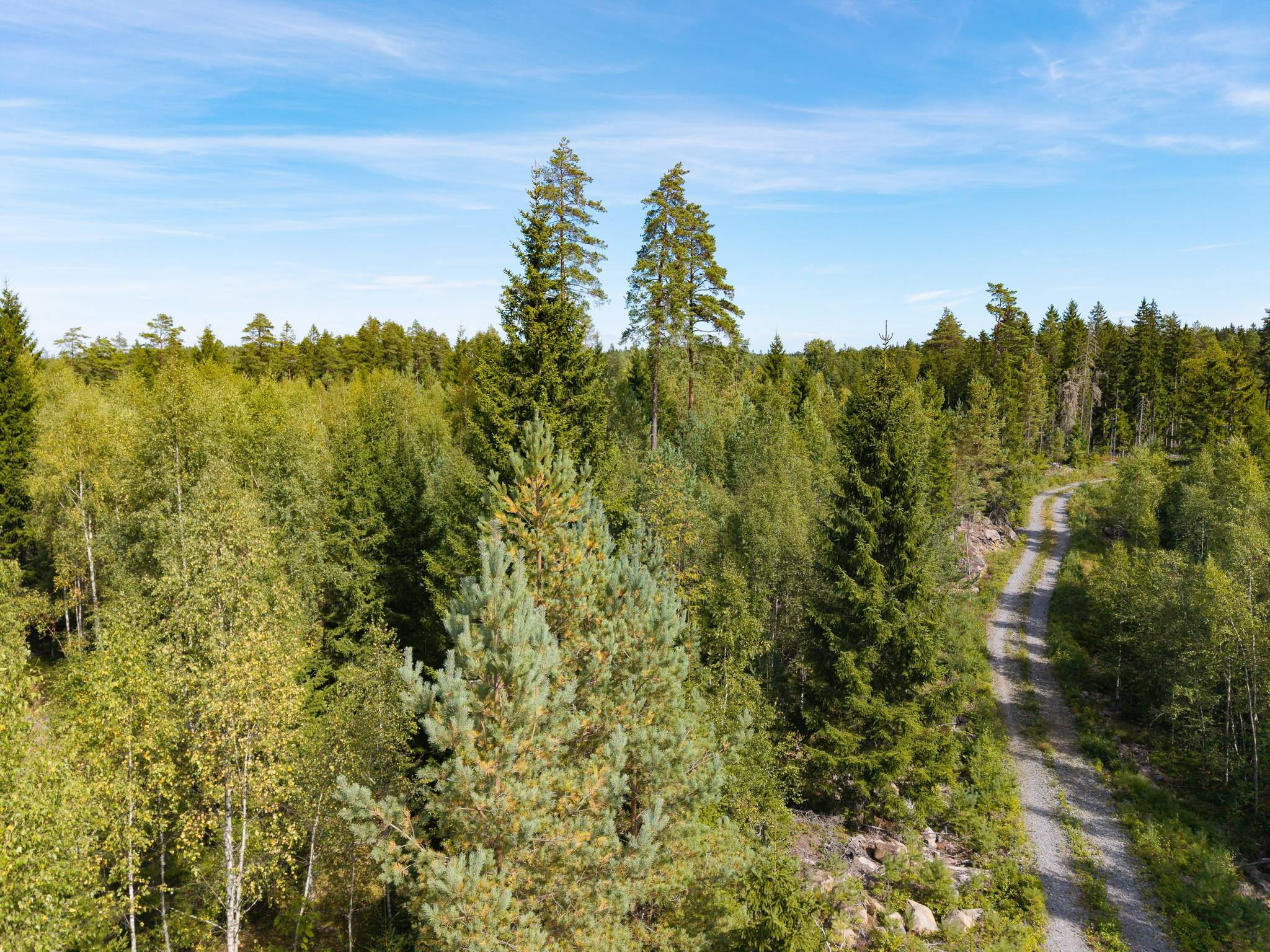 Gård med skogsbruk på Isåsen Askersunds kommun - bild 23