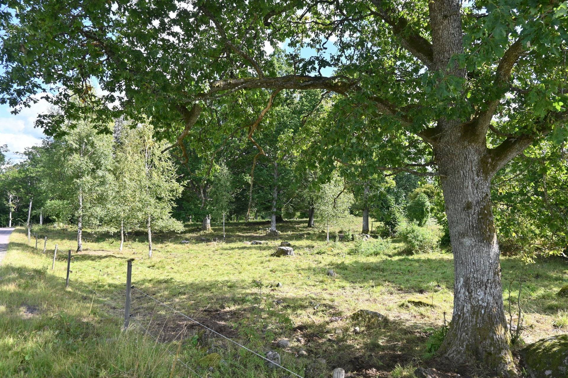 Gård med jordbruk på Karryd Norregård 2 Karryd Växjö kommun - bild 15