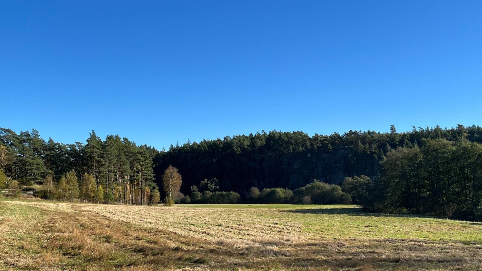 Gård med skogsbruk på Gilltorp 1:11 Skee Strömstads kommun - bild 8