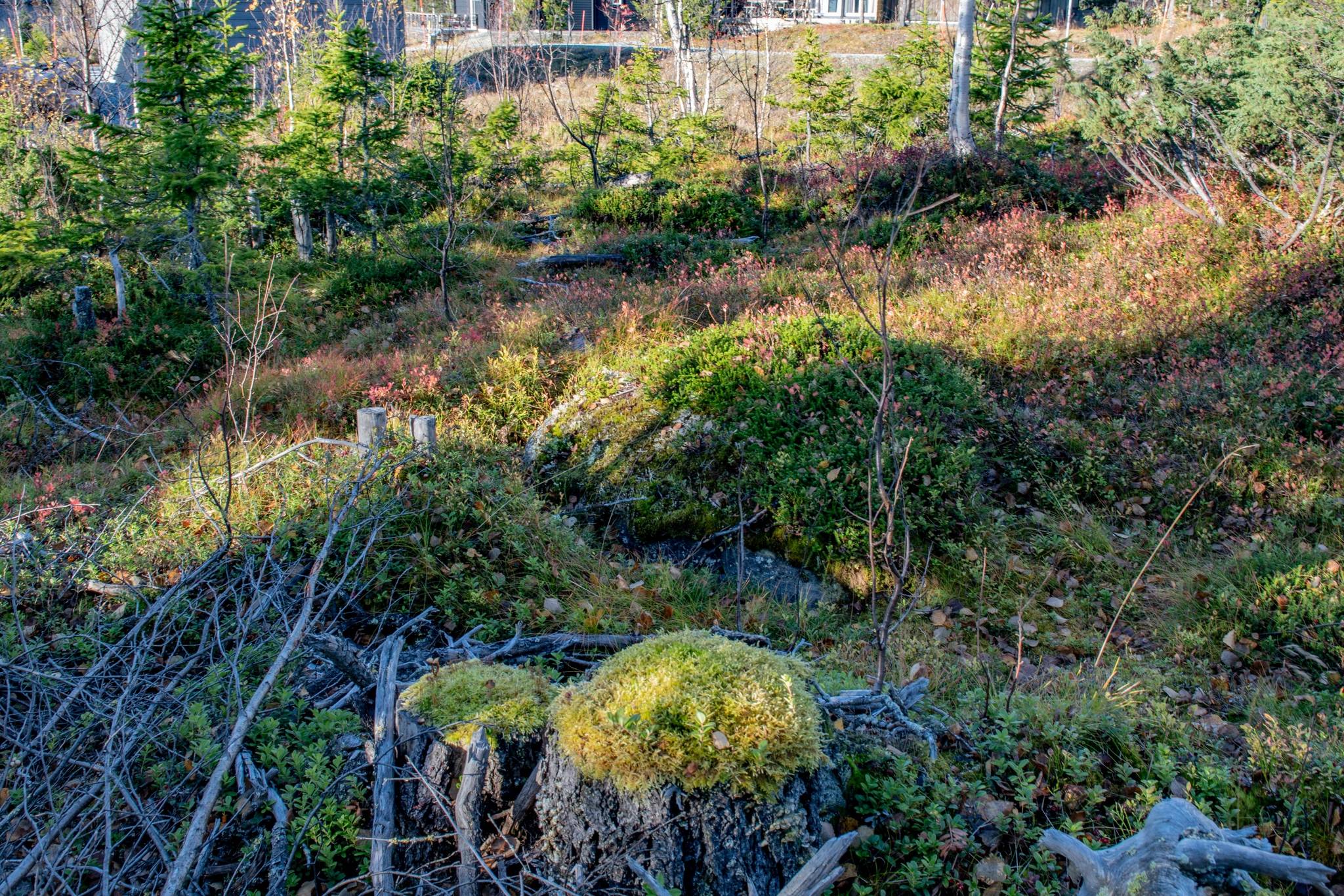 Tomt på Sucksdorfsvägen 35 Kittelfjäll Vilhelmina kommun - bild 16