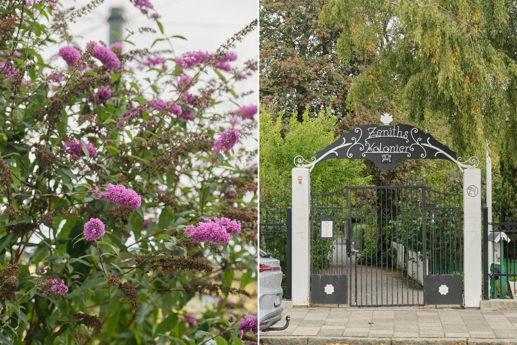 2 rum Lägenhet på Spårvägen 16C Sorgenfri Malmö kommun - bild 29