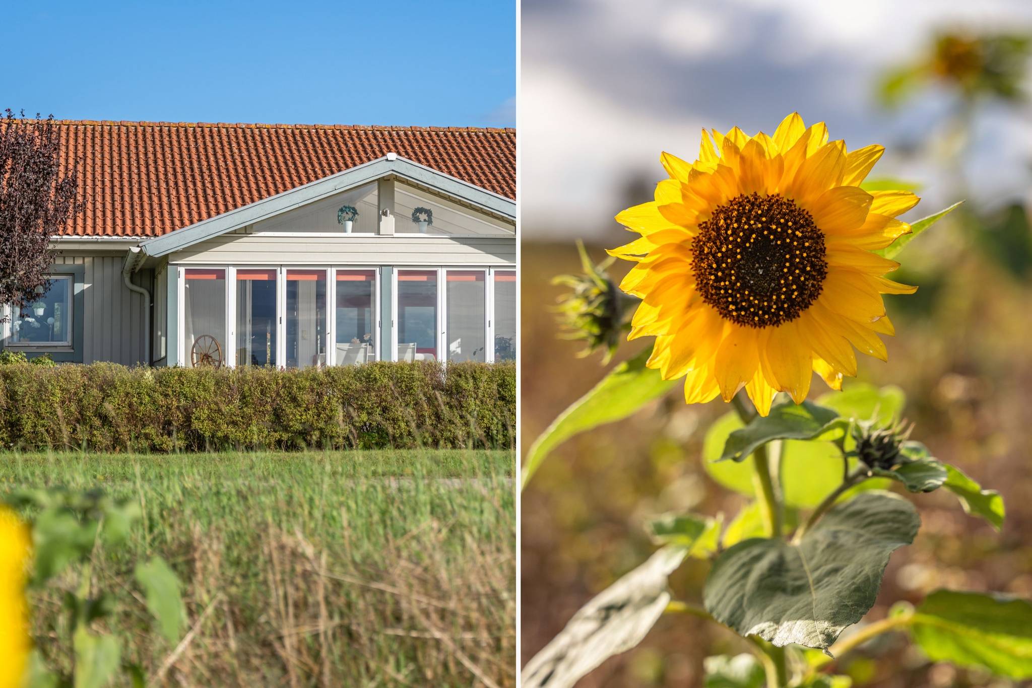 4 rum Villa på Ångersvägen 31 Kastlösa Mörbylånga kommun - bild 26